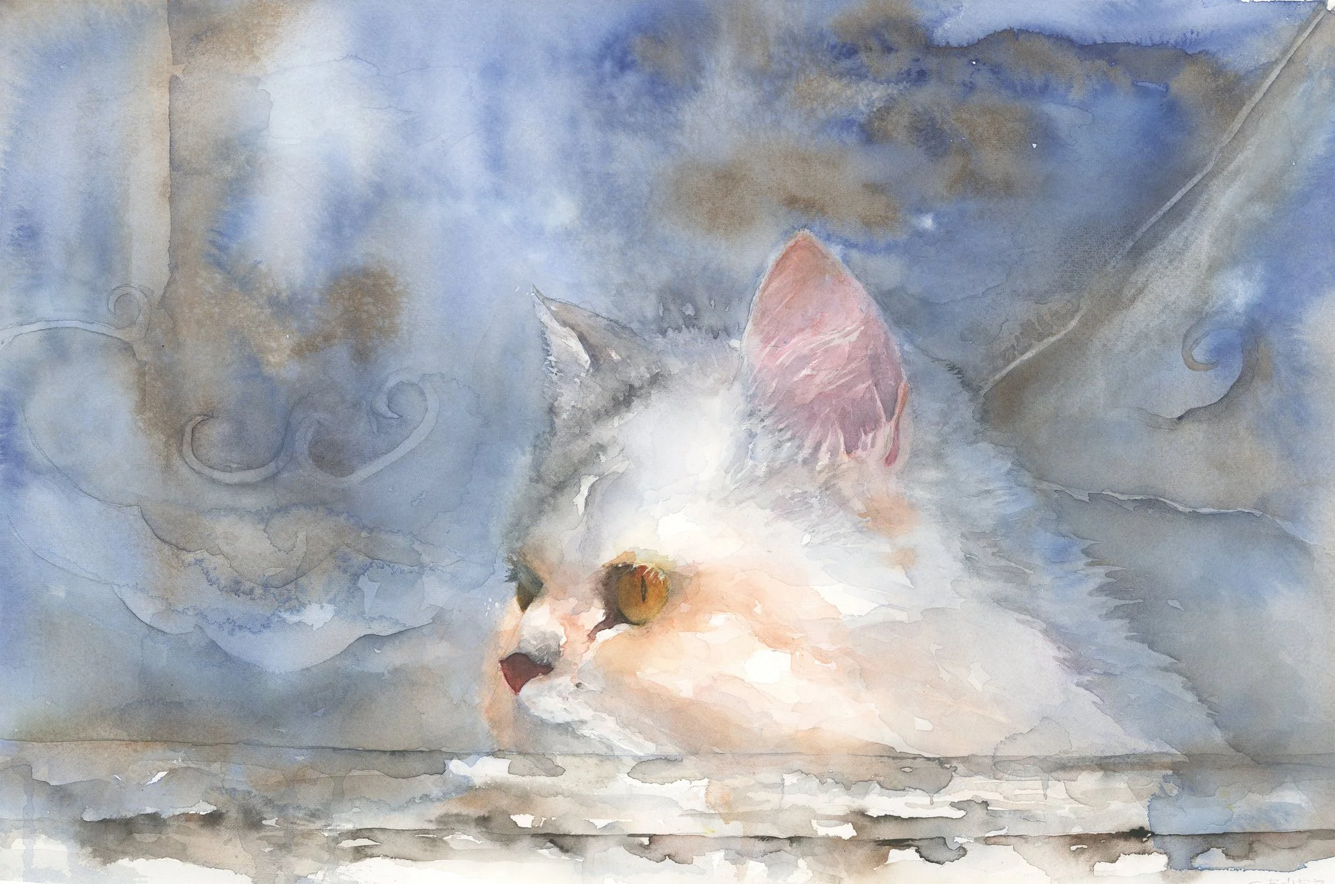 Cindy Baird - Cat in Paris Window