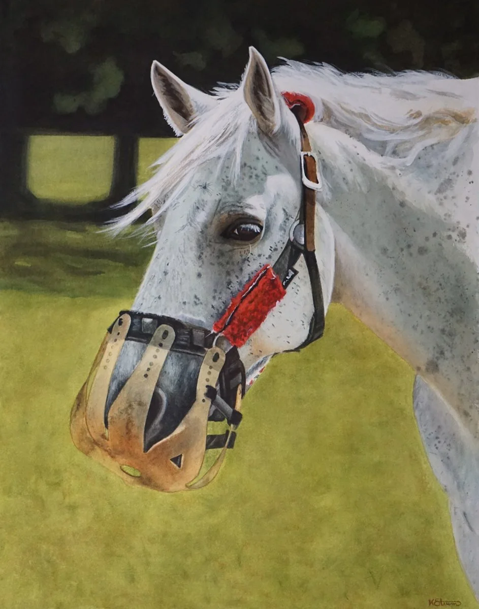 Karen Sturm - Fat Shaming