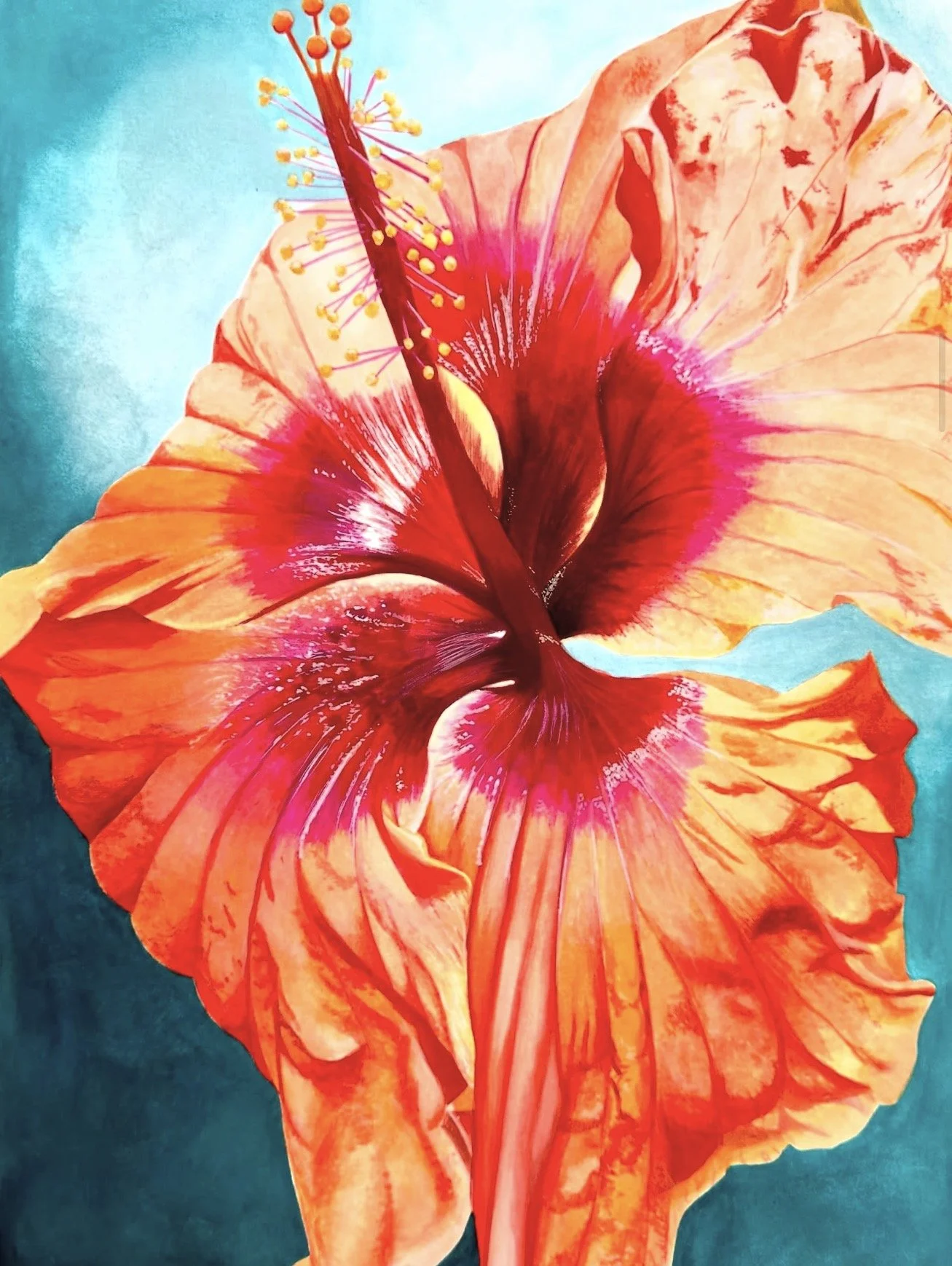 Kim Barge - Hibiscus