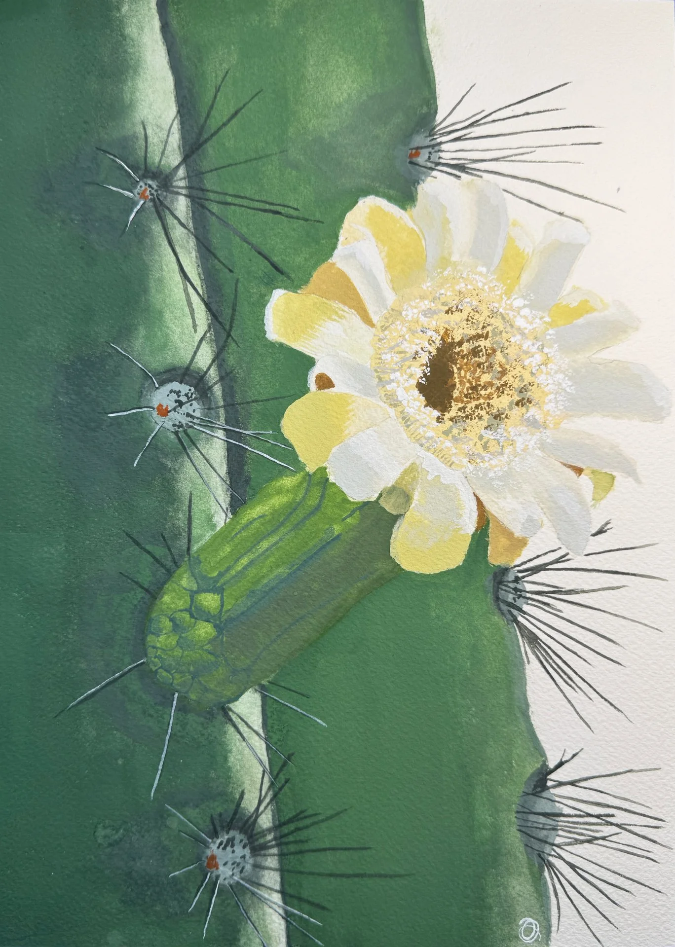 Dianne Weiss-Cactus Bloom