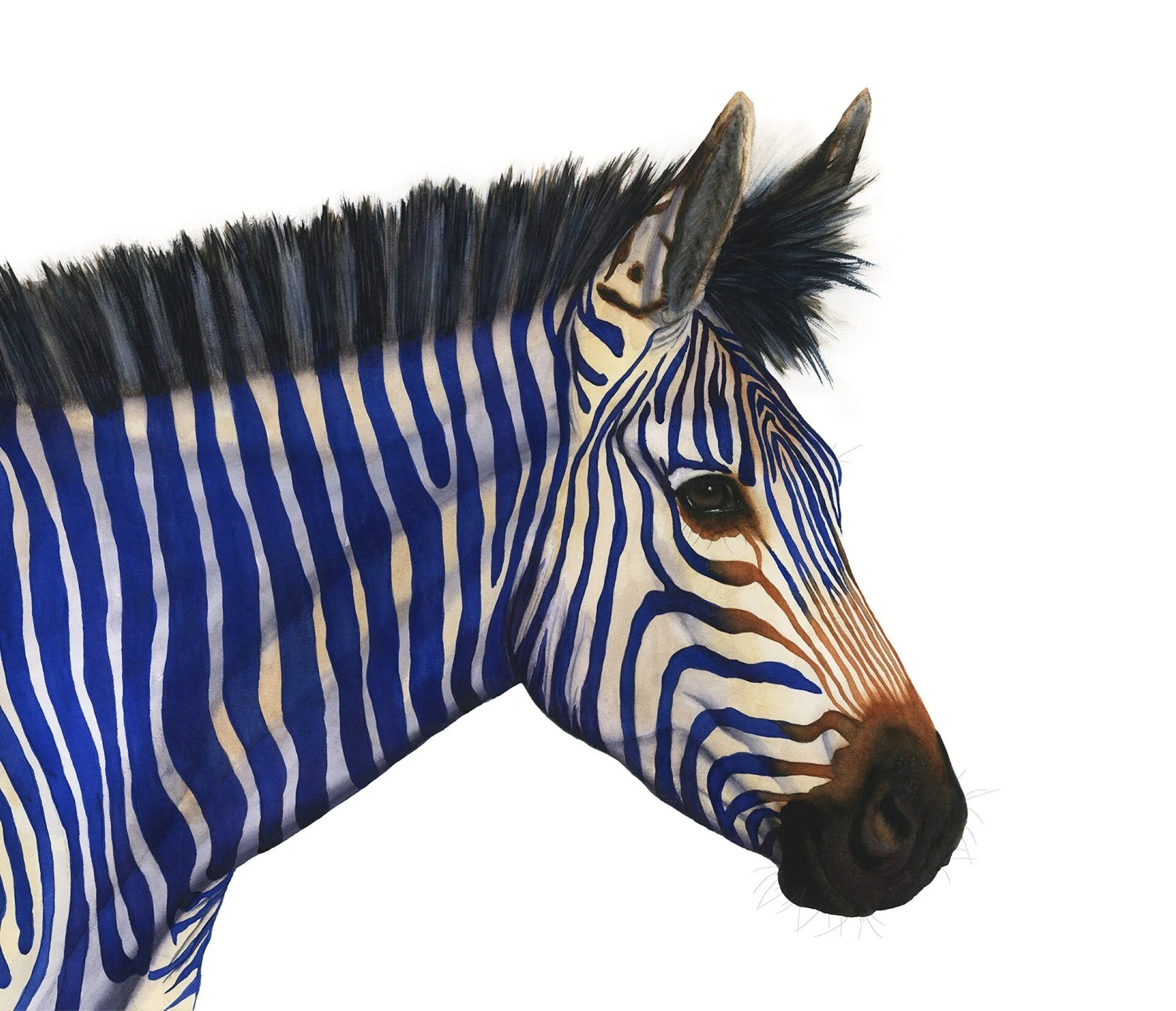 Vanessa Thorman - Celeste