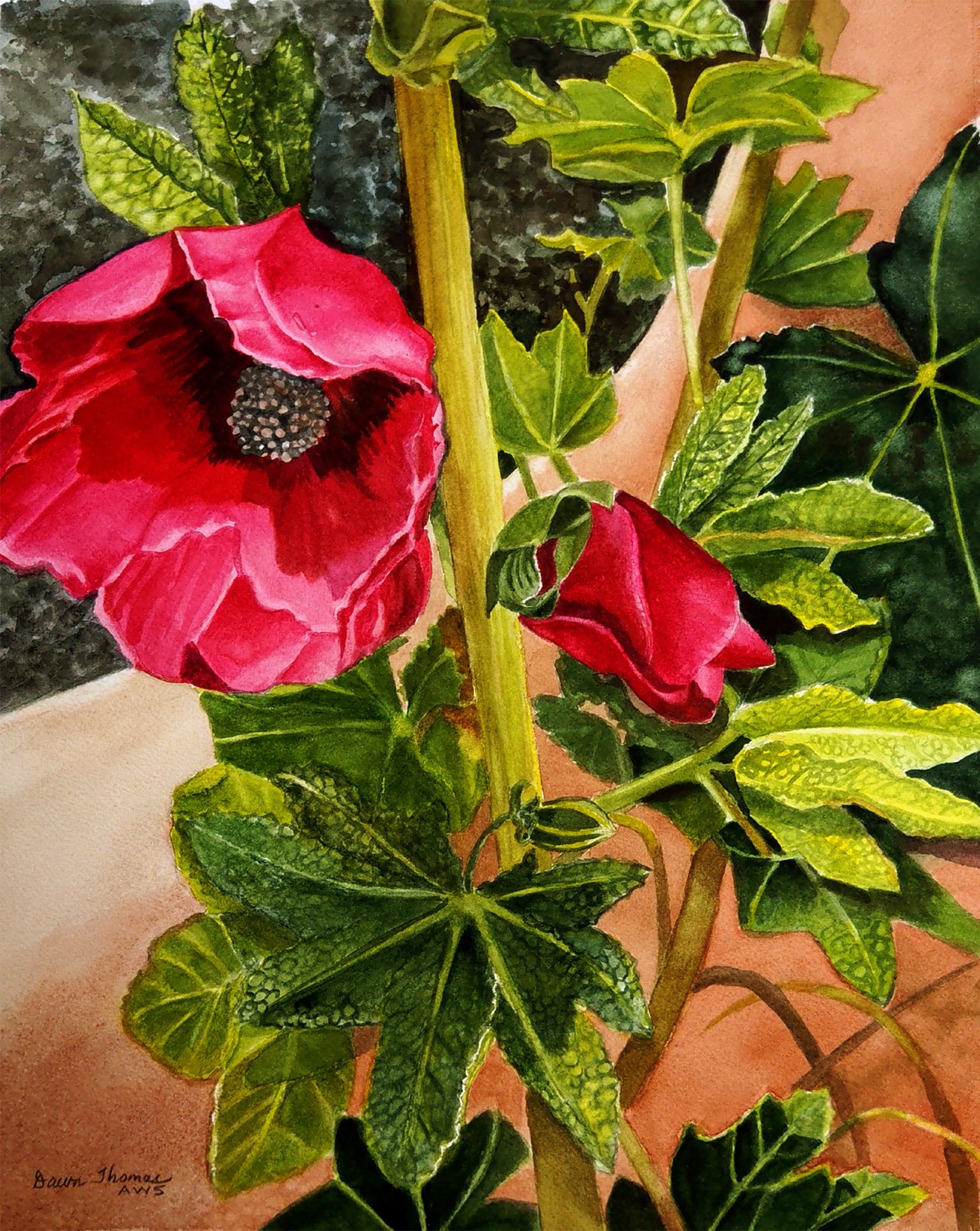 Dawn Thomas - Pink Hollyhocks