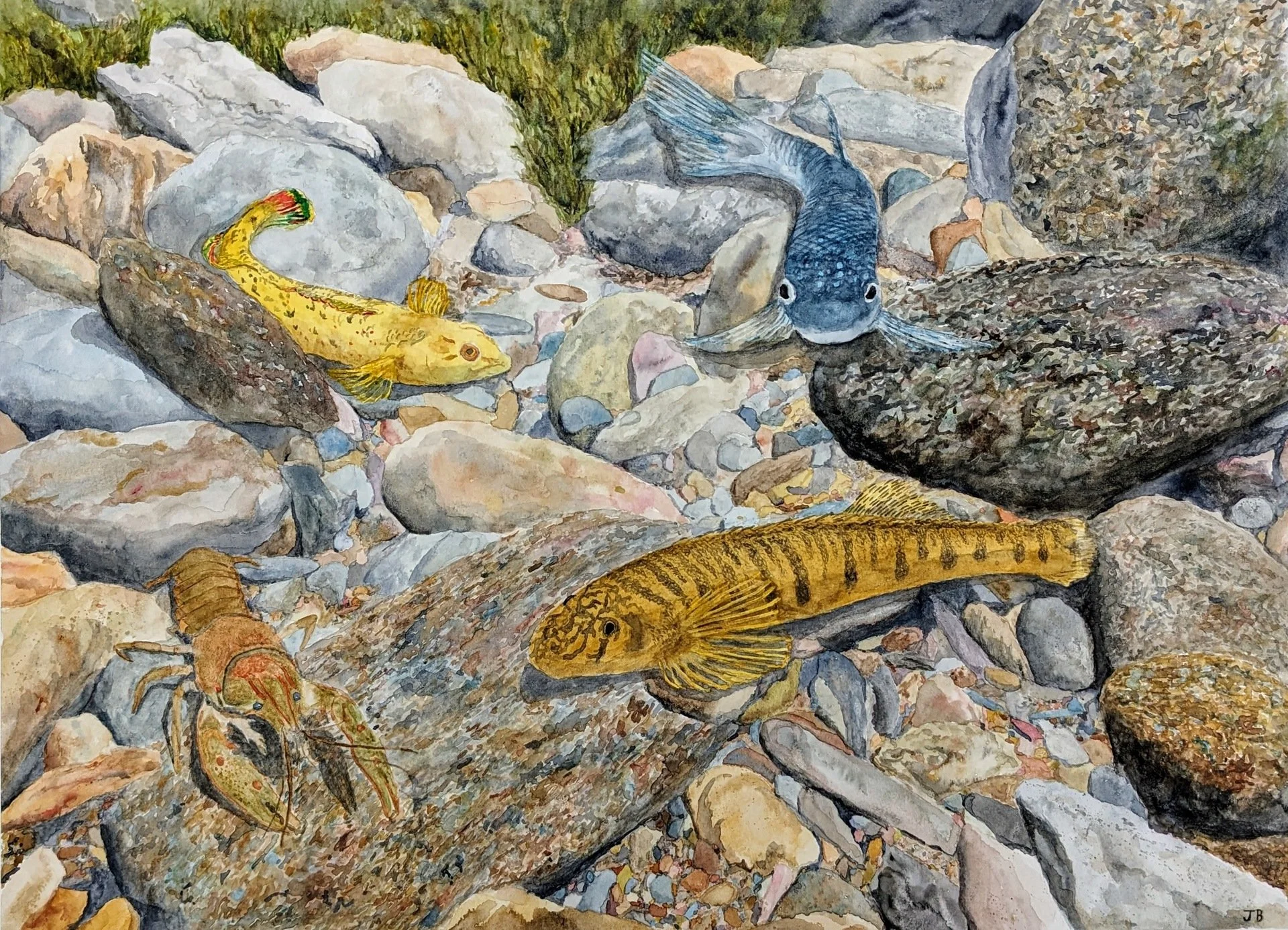 John Becker-Conasauga Riverbed