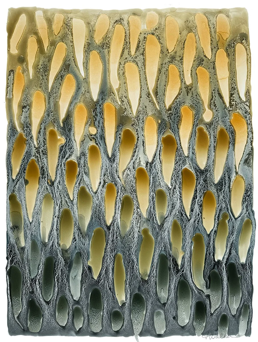 Judy Walker - Granular Movement