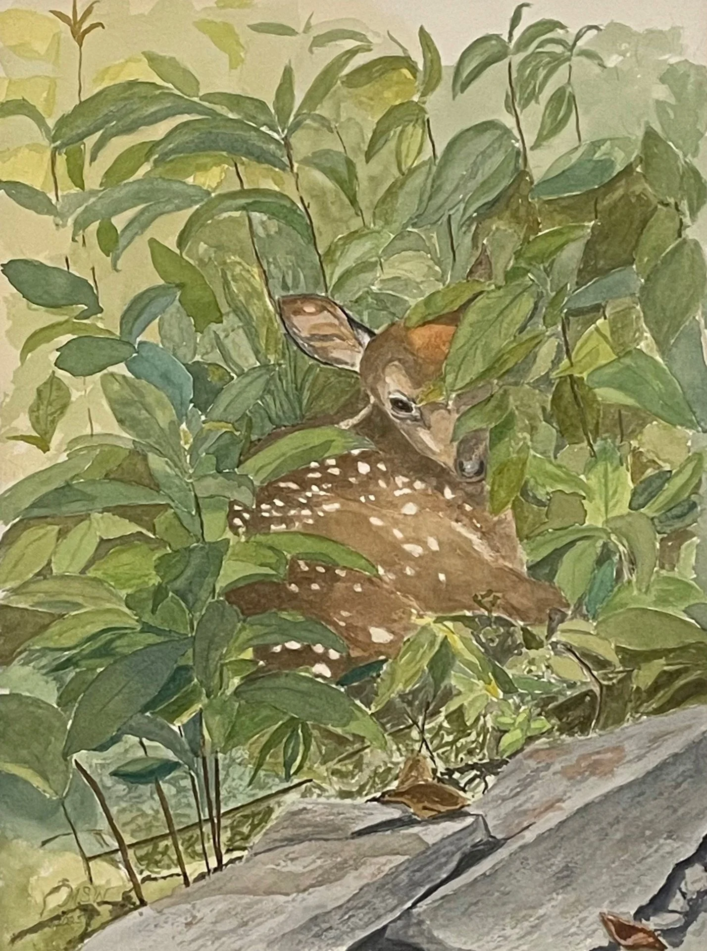 Martha Woodall-Hiding in Plain Sight