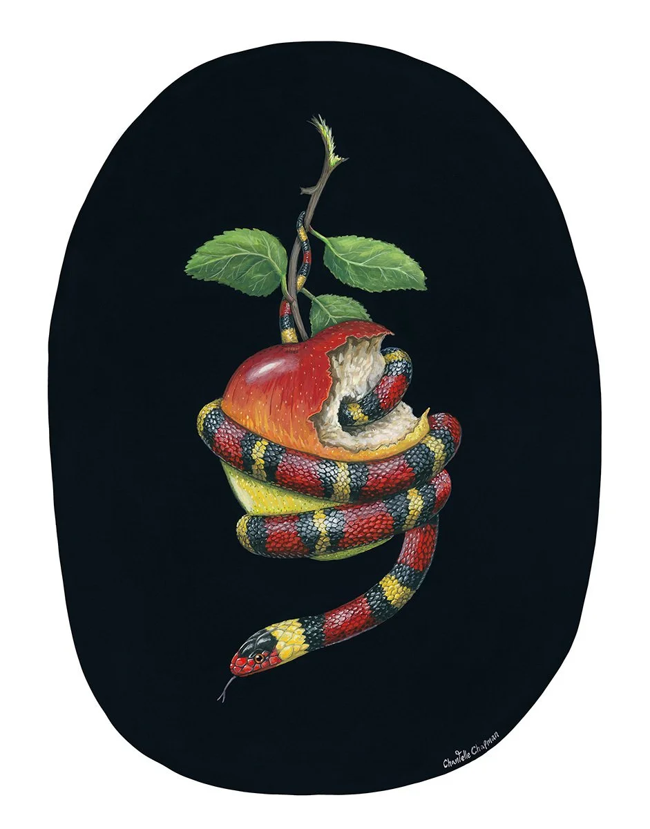 Chantelle Chapman - They'll Tell You it's Dangerous