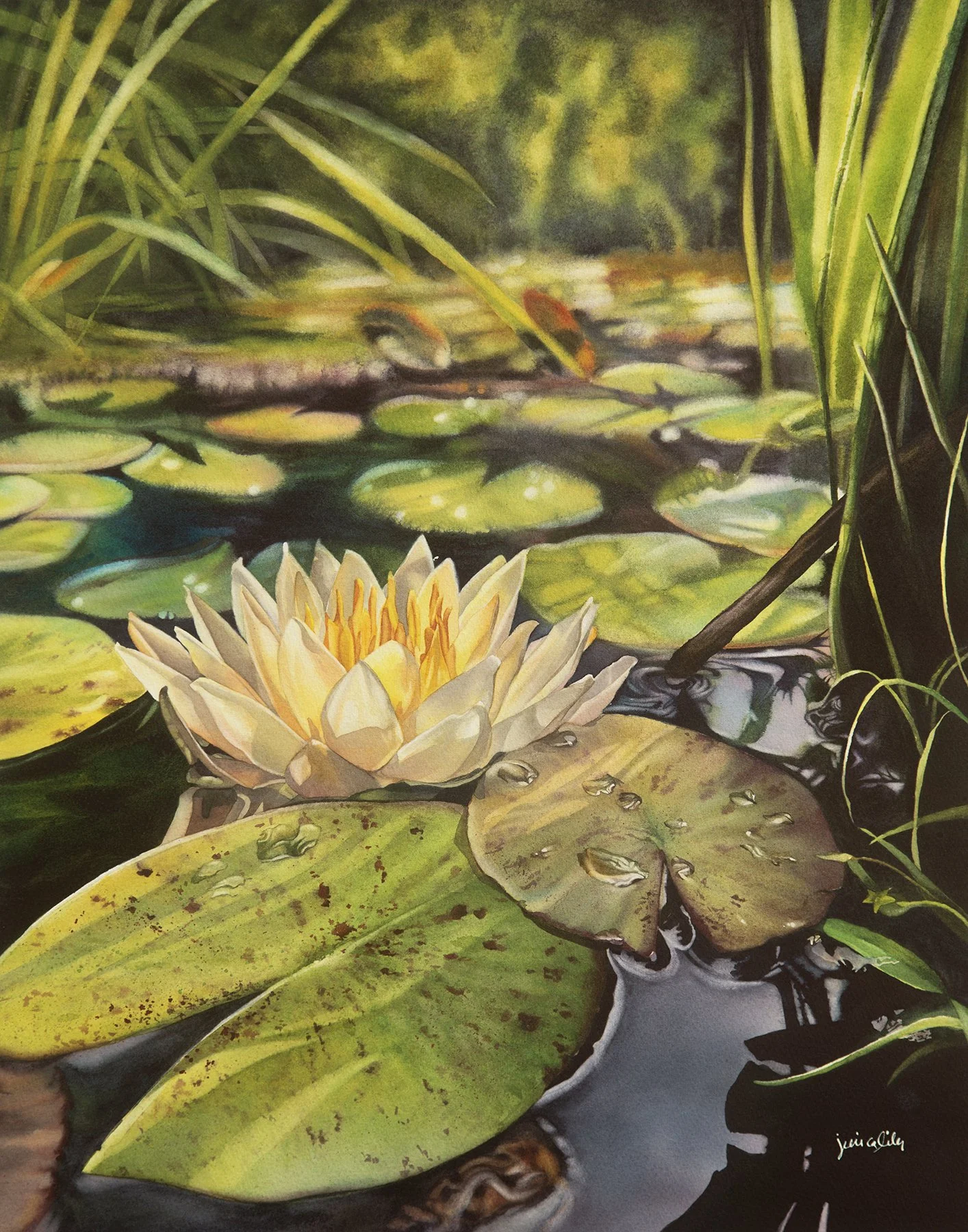 WaterLikeGlitter-1800px.jpg
