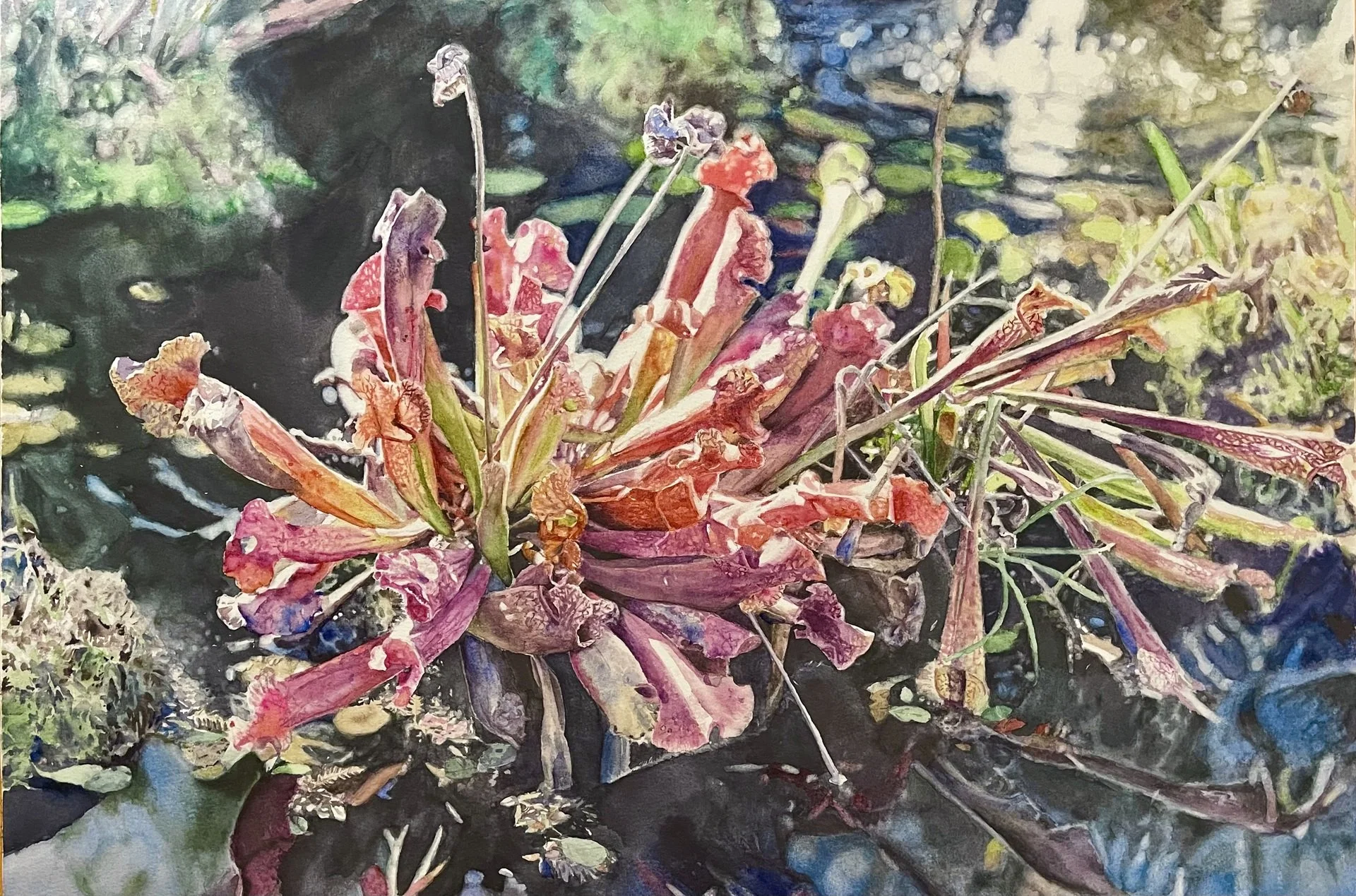 Leslie Guo - October Reflection