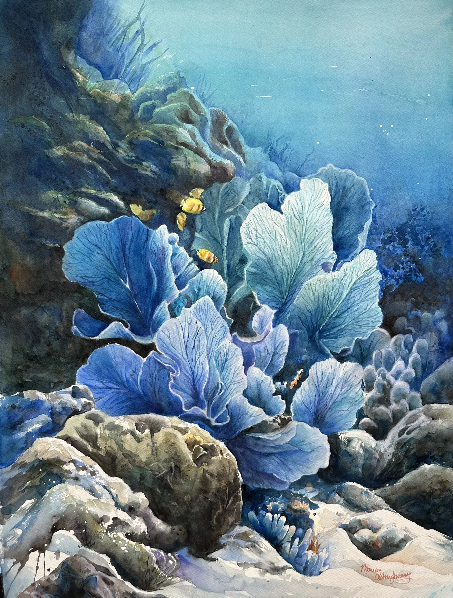 Marian O'Shaughnessy - Blue Coral Formation