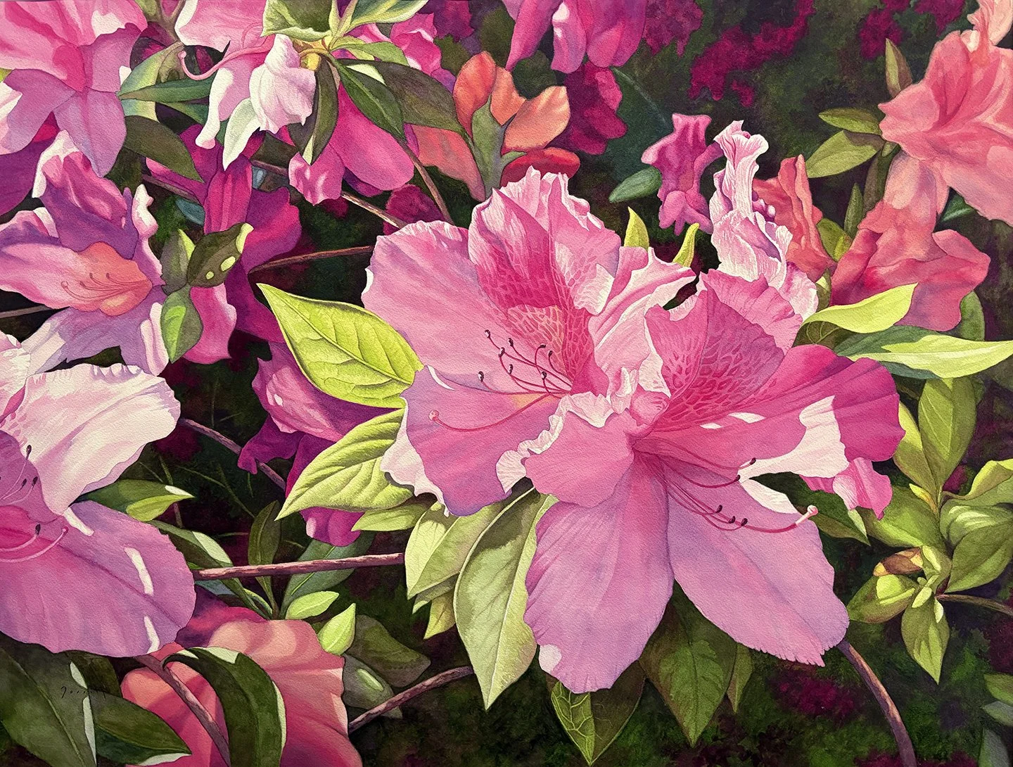 Donald Farrell - Spring Break