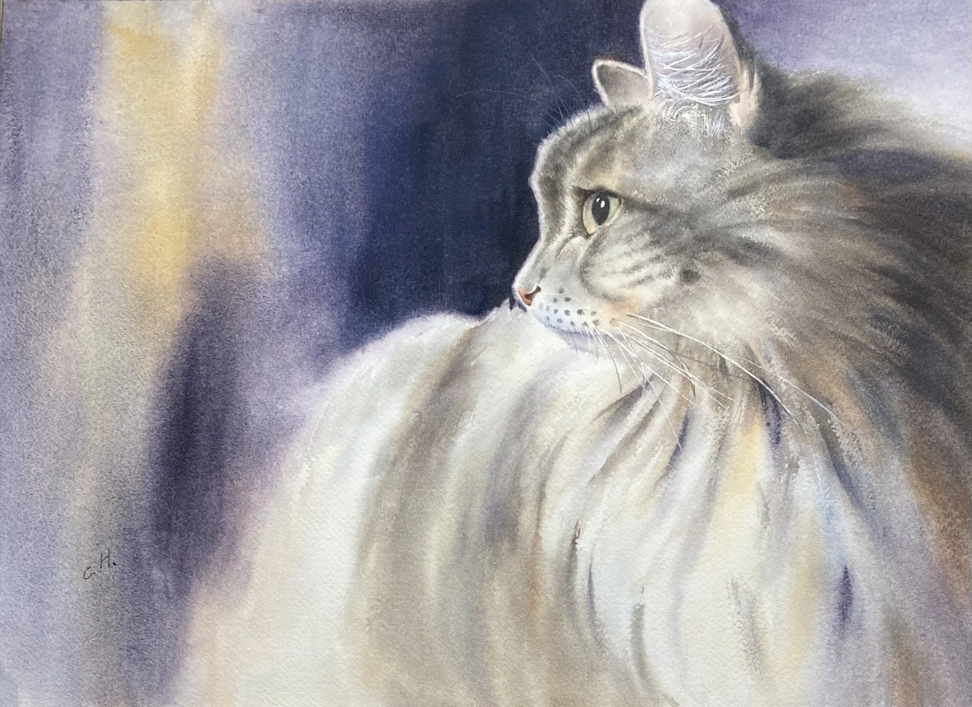 Chao-Ying Hsieh - Look