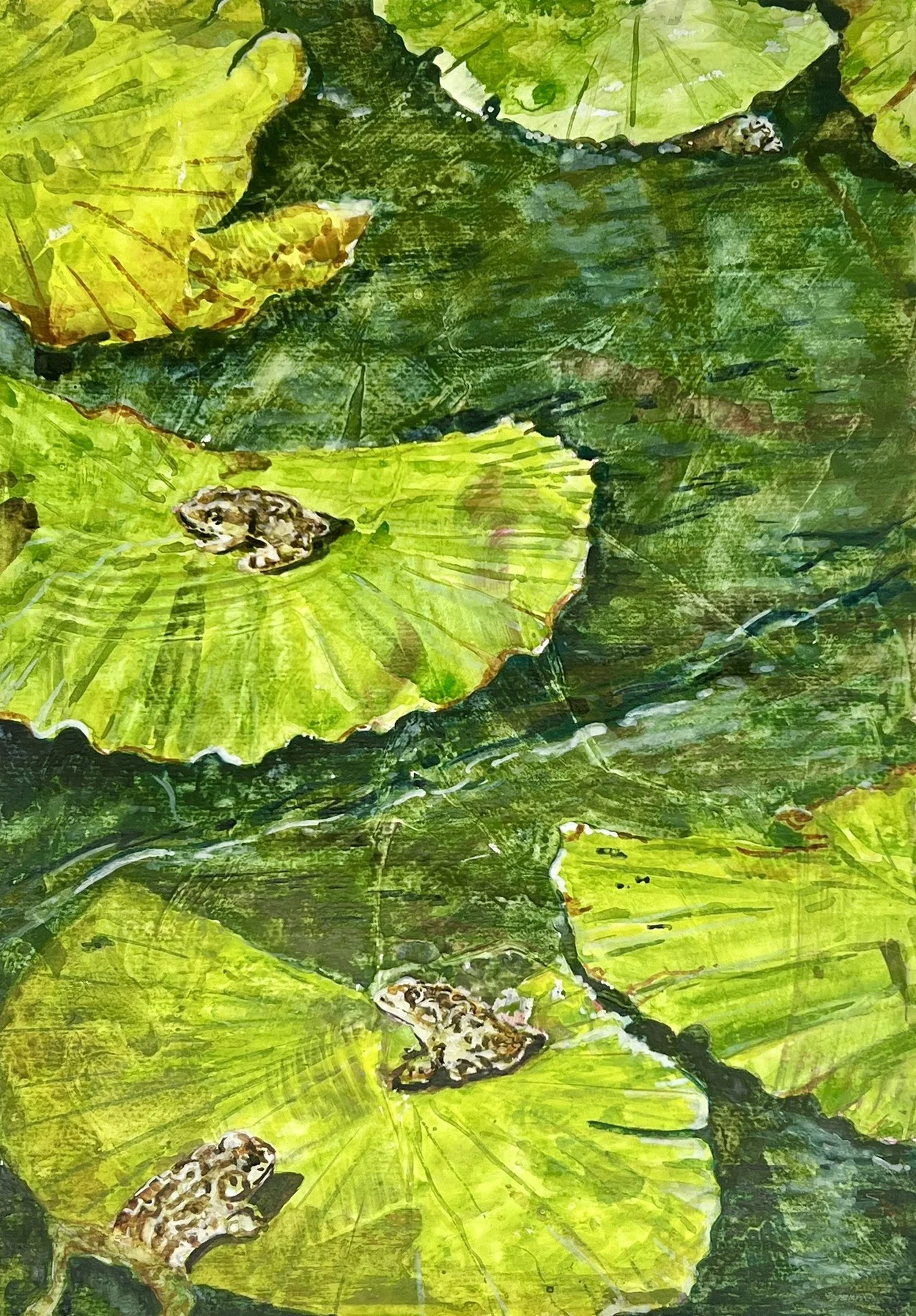 Kim Kennedy-Kaui Frogs