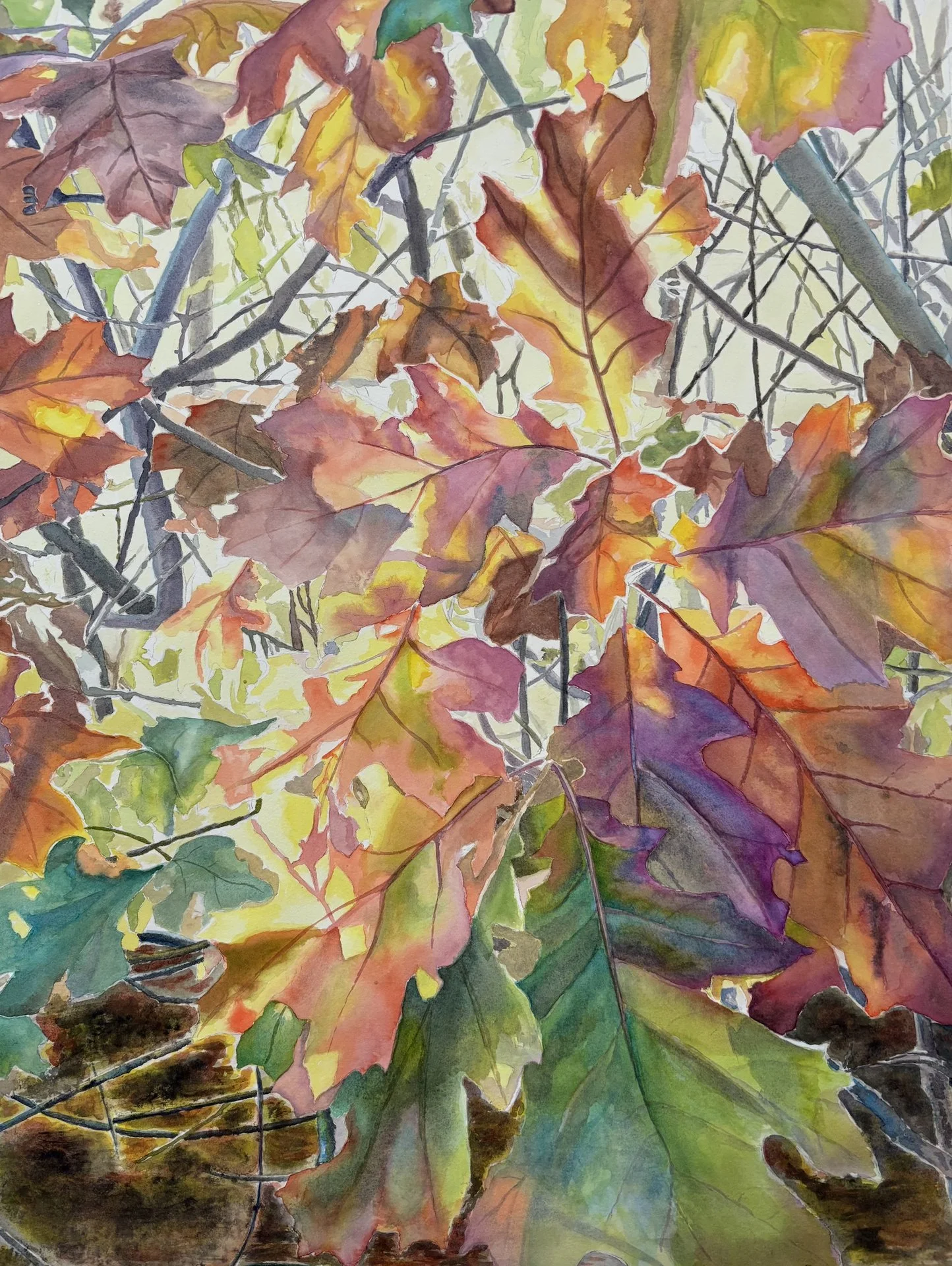 James Sorrentino-Rhode Island Fall