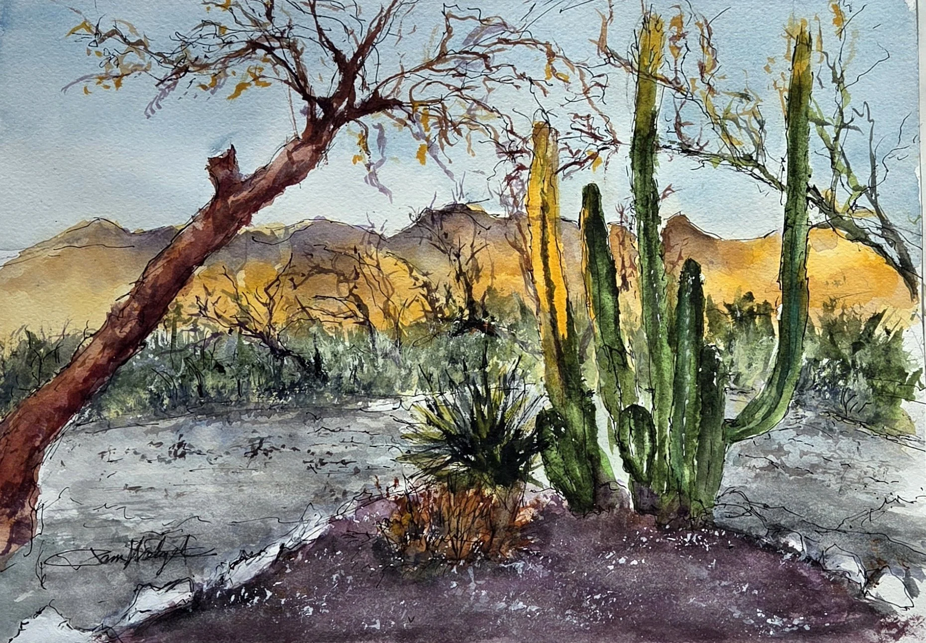 Pam Wetzel - Tanque Verde Ranch