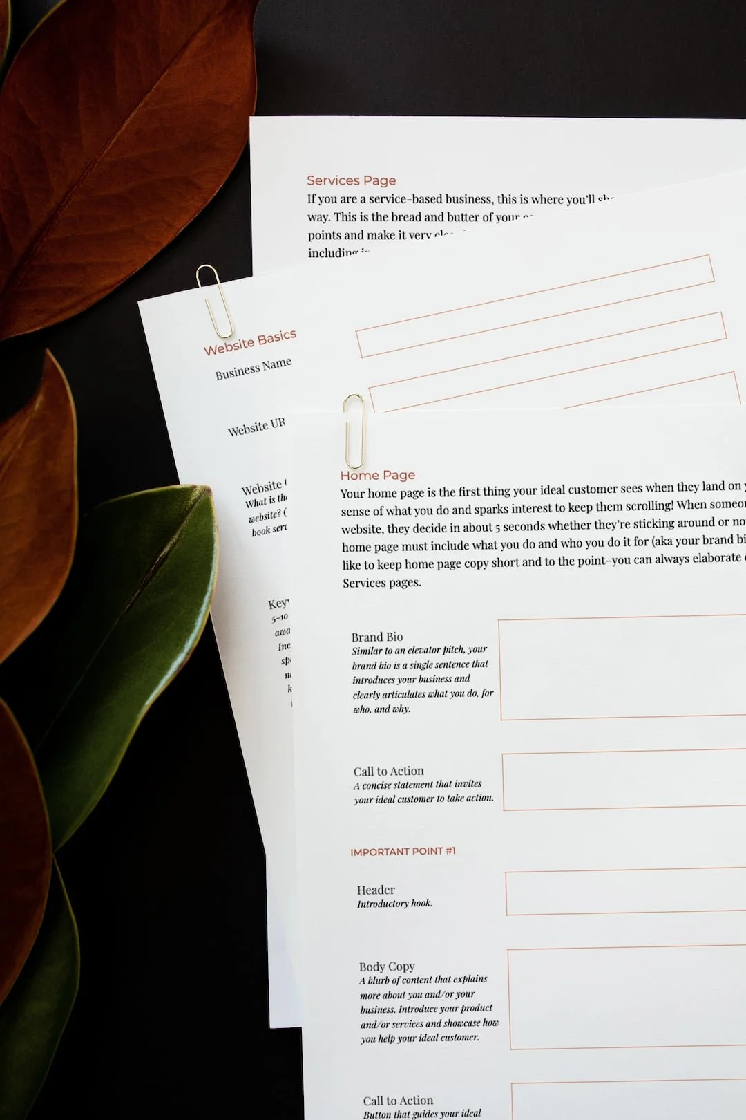 Website Copy Crusher by Amari Creative5.jpg