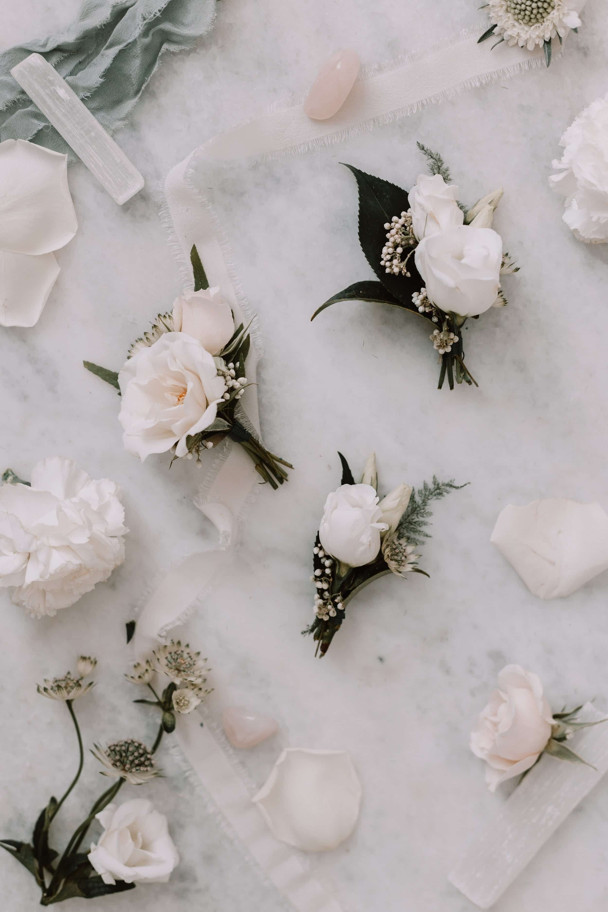Jae+Le+Mae+Wedding+Florist+Brand+%26+Website+Designed+by+Amari+Creative+1_compressed.jpg