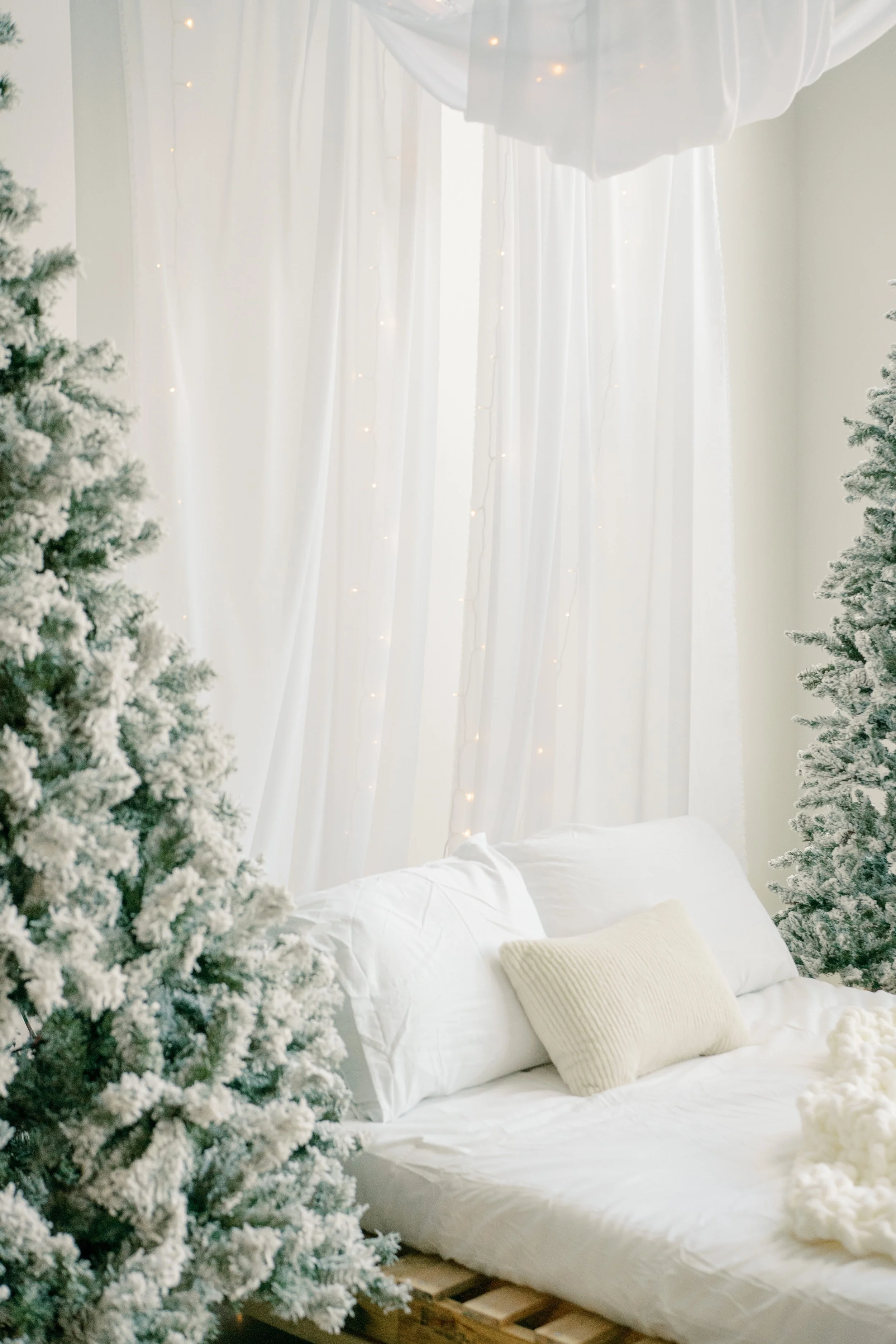 Holiday-Family-Photos-Austin-TX-Rental-Photography-Studio49.jpg