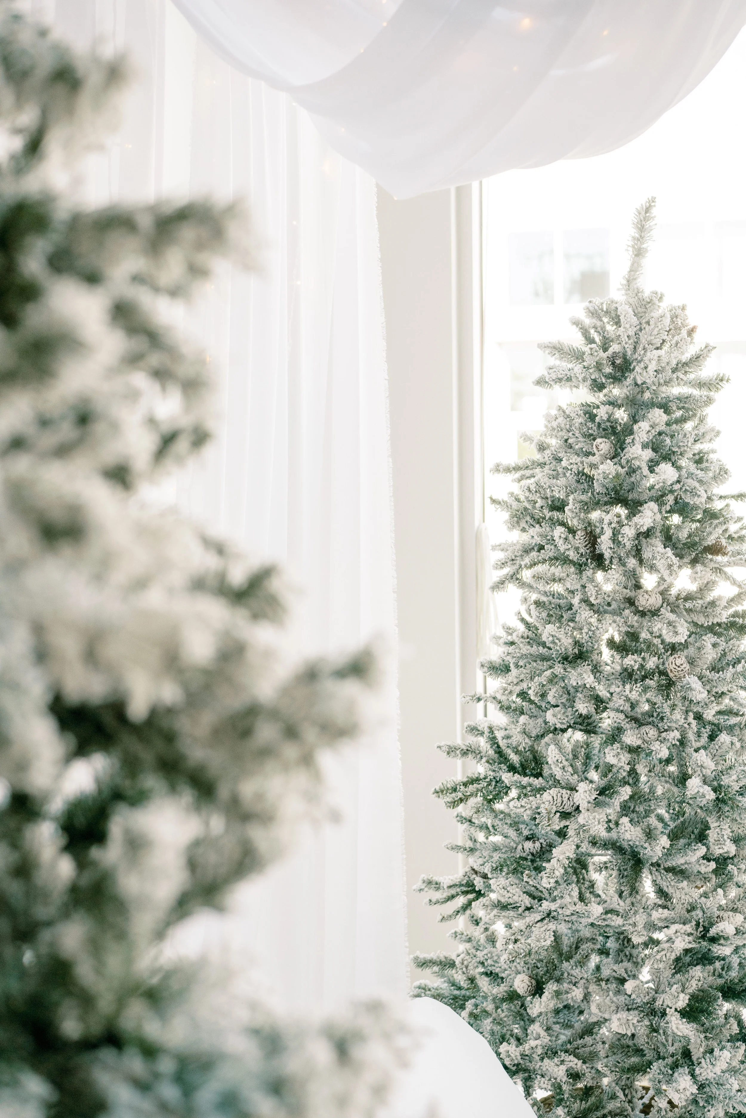 Best-Austin-TX-Pflugerville-Studio-Rental-Holidays-25.jpg