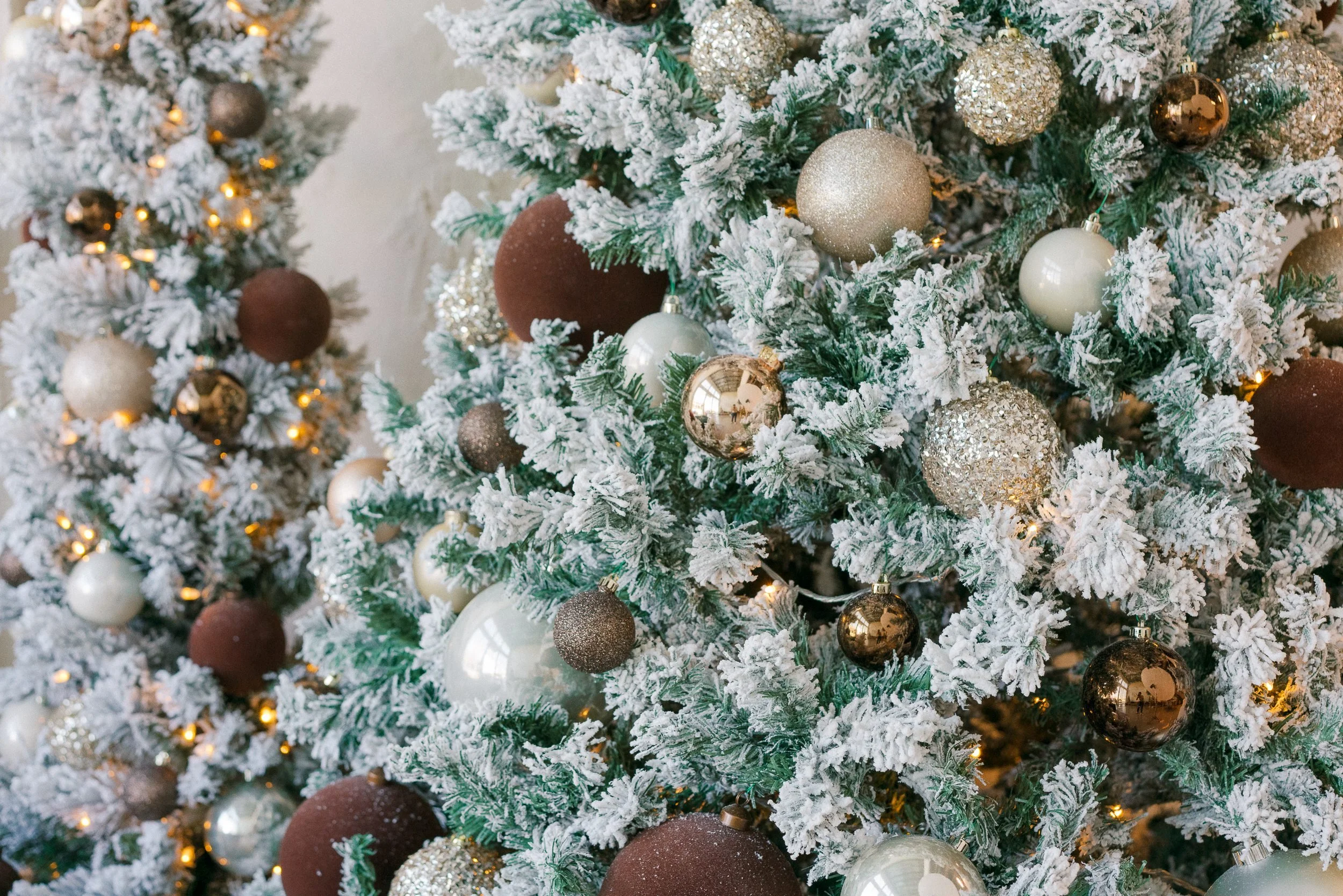 best-family-photography-holiday-set-rentals-austin-pflugerville-tx.jpg