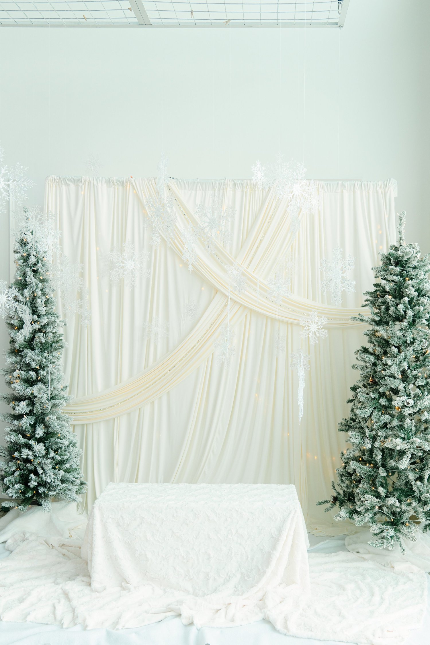 Winter White holiday photo set with ivory drapes, frosted trees and a lace-covered bench at Alight Collaborative in North Austin