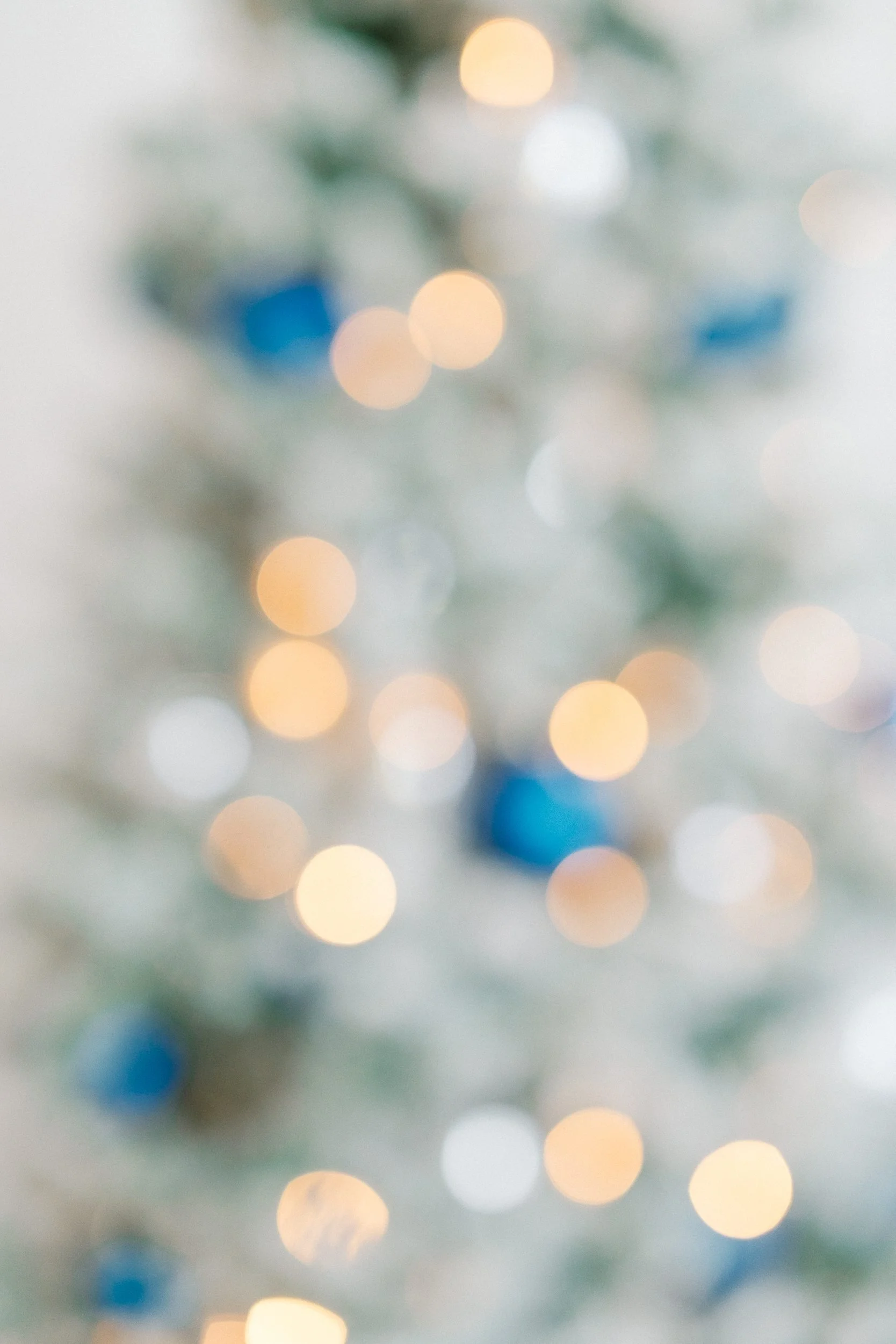 family-holiday-mini-sessions-austin-tx-studio-rentals.jpg