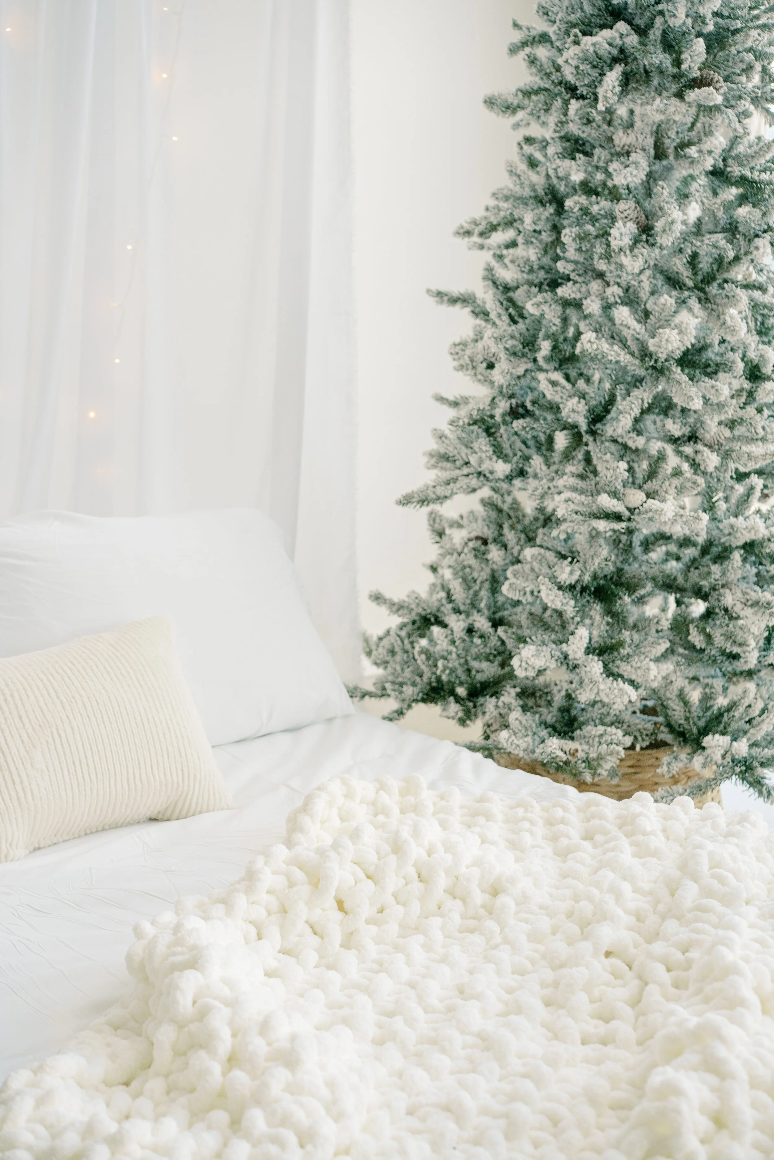 Family-Holiday-Mini-Sessions-Austin-Family-Photos-5.jpg