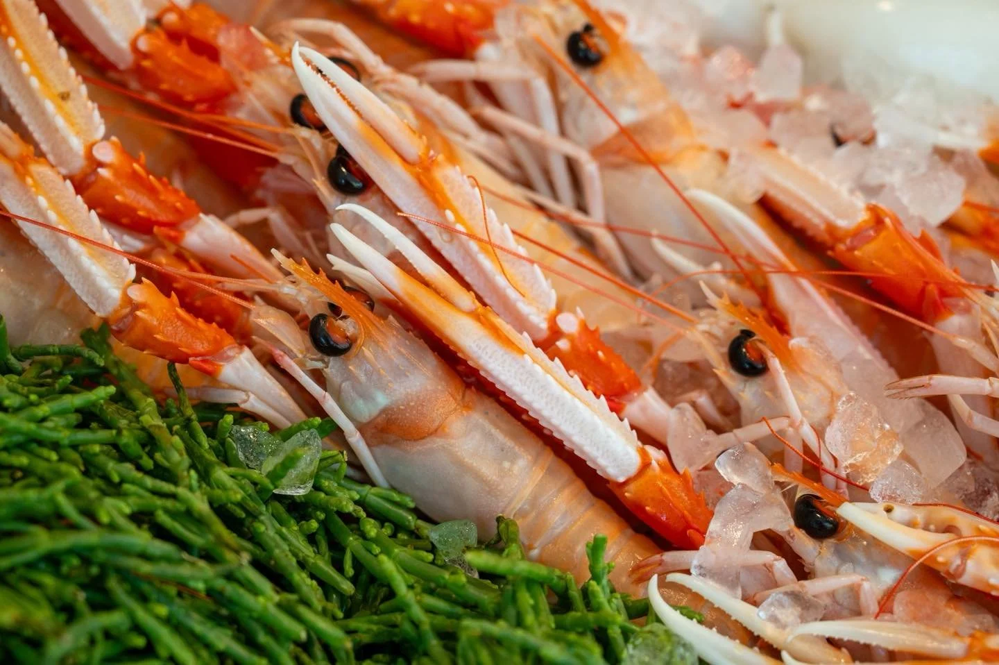 Ogni giorno trovi piatti preparati con pesce freschissimo, ricette curate e sapori che profumano di costa.
Un angolo di gusto nel centro di Busto Arsizio, dove il mare diventa esperienza.

📲 Prenotazioni: 338 564 2424
📍 Al Cortiletto &ndash; Tradiz