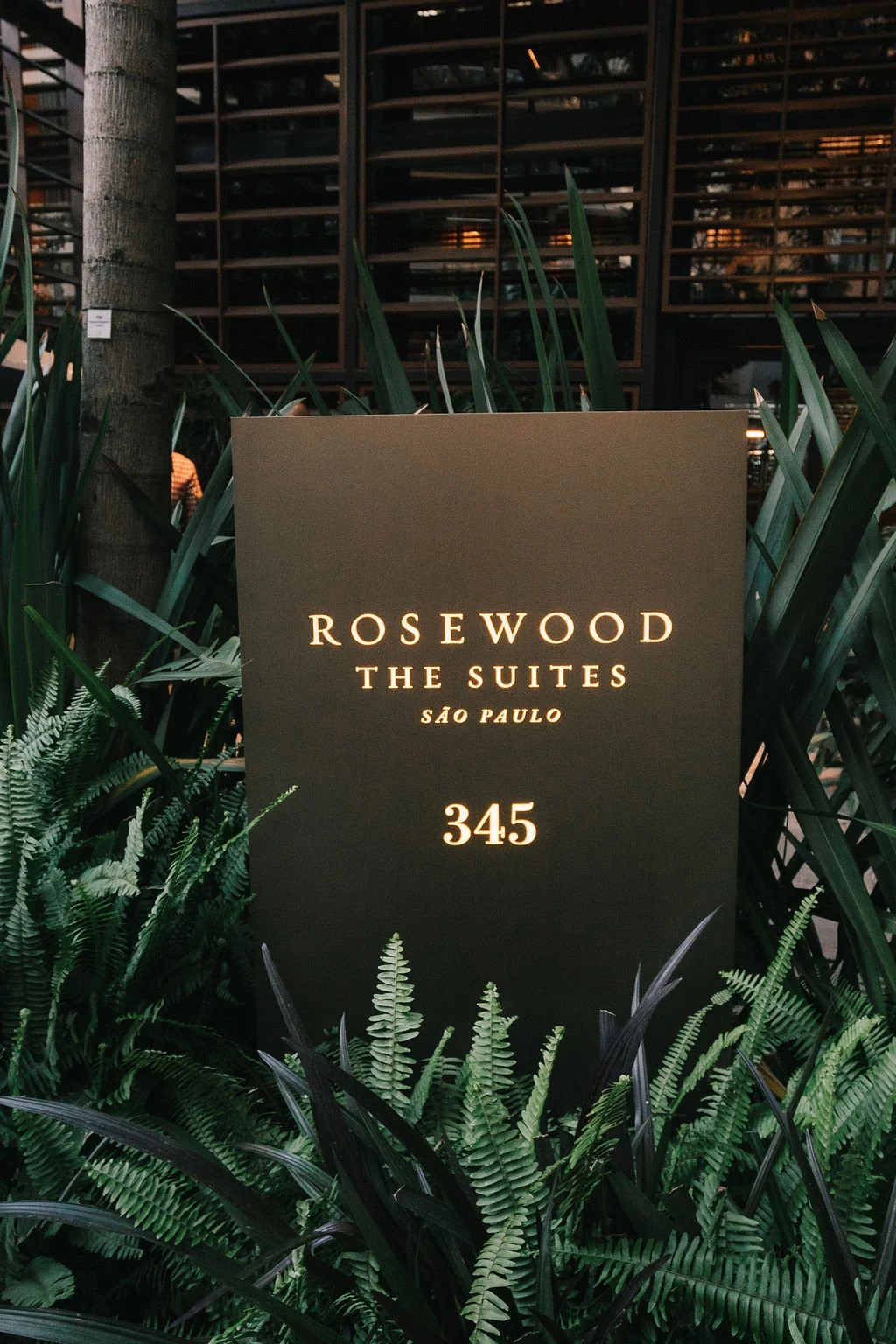 Placa de endereço de um hotel chamado Rosewood The Siutes São Paulo, número 345, rodeada de plantas verdes, ao lado de uma árvore