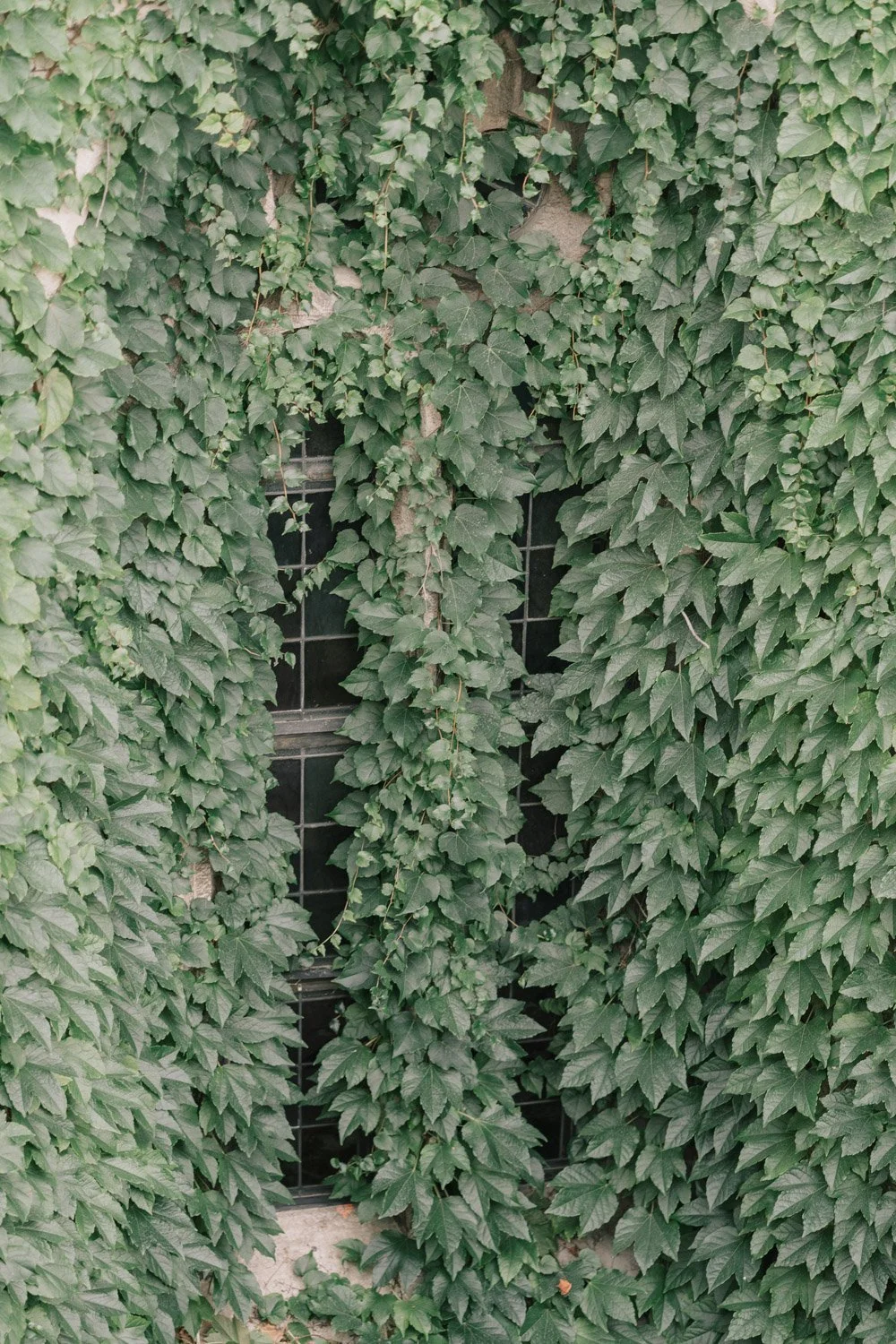 DIA E BENCE- SAOPAULOFOTOGRAFIA-67.jpg