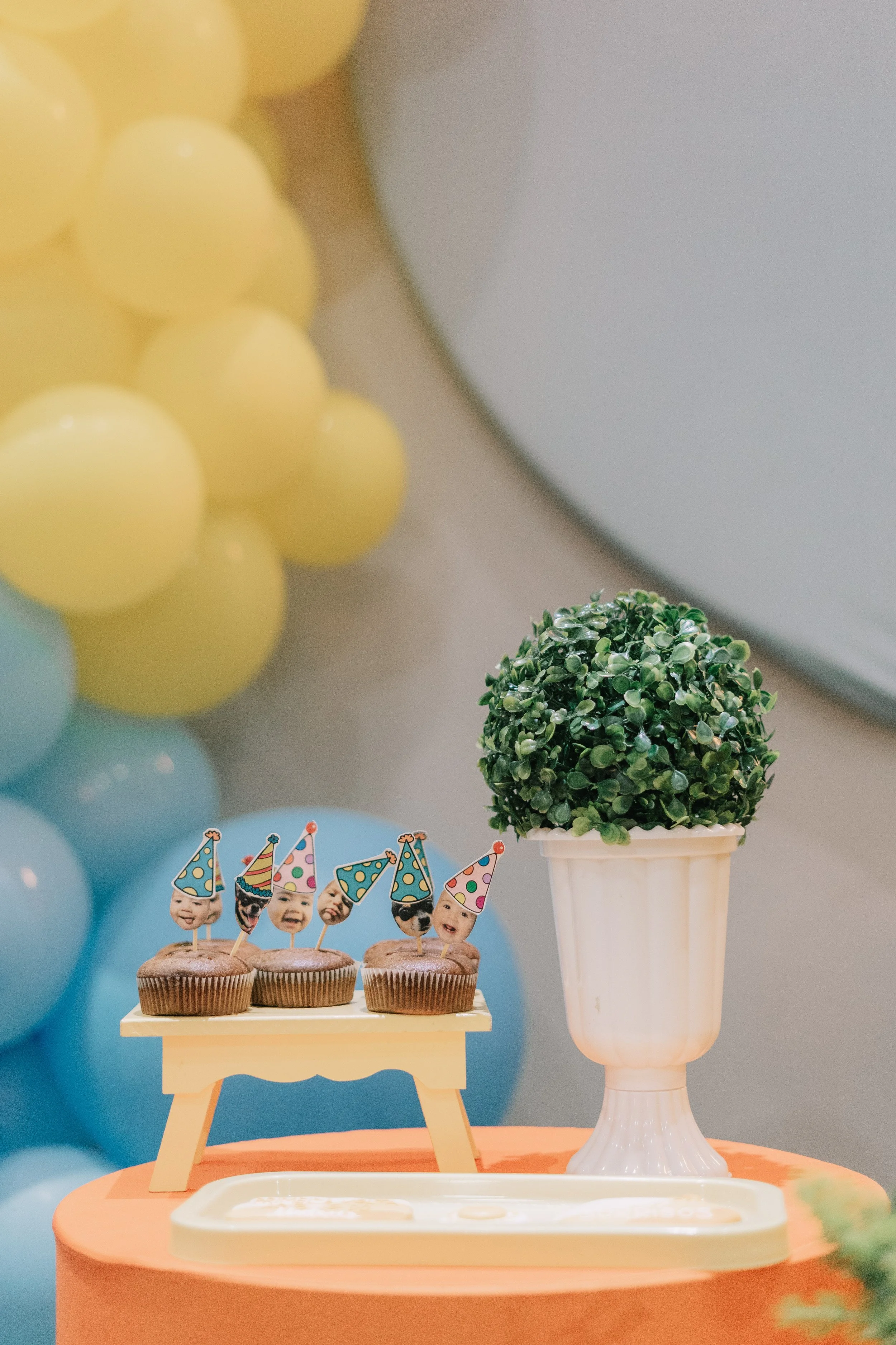 MATEUS1ANO-SAOPAULOFOTOGRAFIA-9.jpg