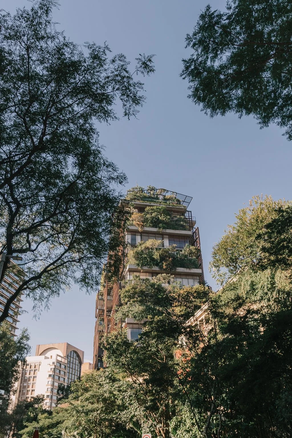 Prédios altos cercados por árvores verdes sob céu azul.