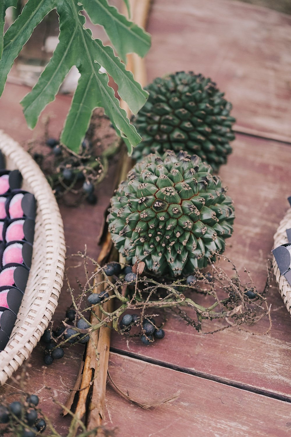 Dois cactos pequenos em uma superfície de madeira, acompanhados de galhos com pequenas frutas negras, ao lado de uma cesta com objetos coloridos.