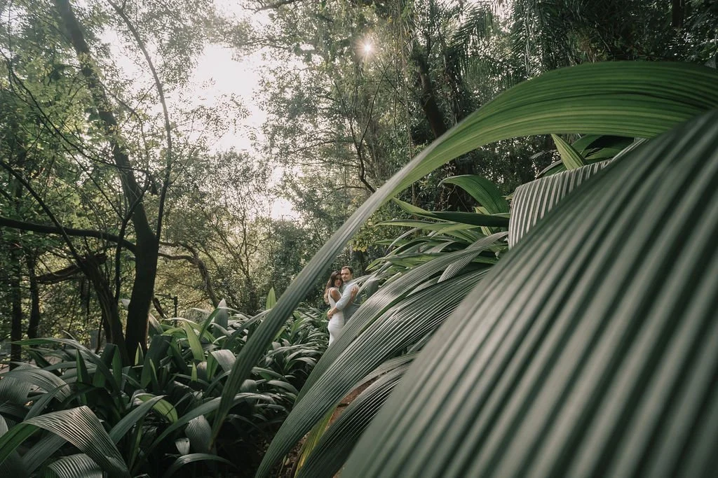 Casal abraçado em meio a folhagens de uma floresta exuberante com luz solar filtrando pelas árvores.