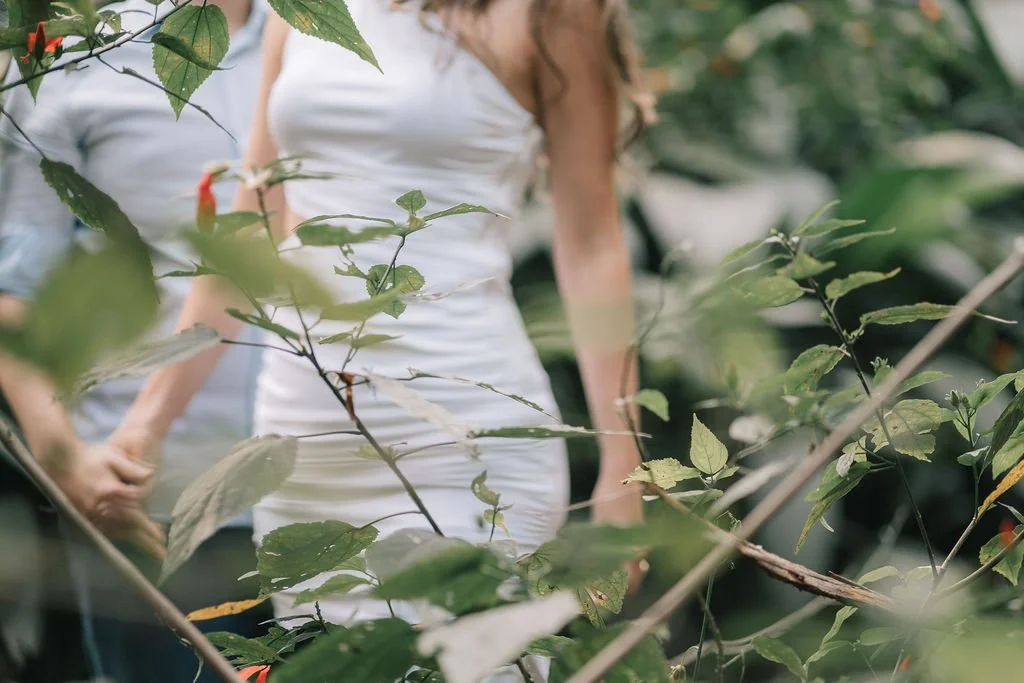 Mulher vestida de branco no meio de arbustos e folhas verdes.