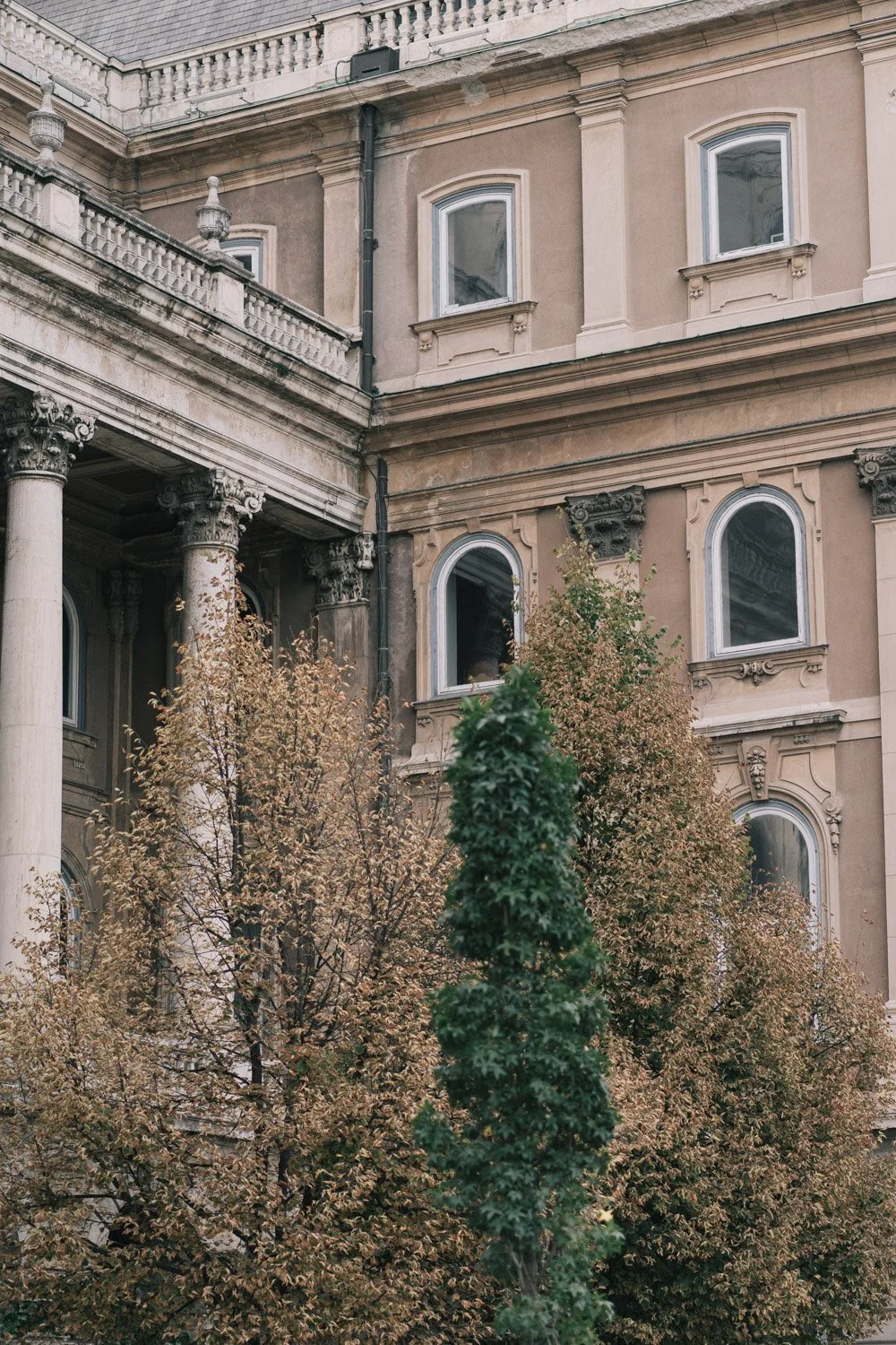 DIA E BENCE- SAOPAULOFOTOGRAFIA-61.jpg