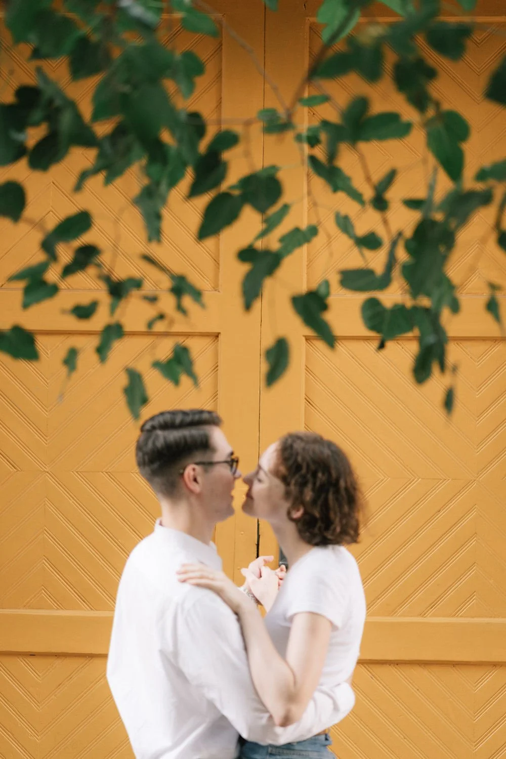 Um casal jovem se beijando, com uma parede âmbar ao fundo e folhas verdes penduradas na parte superior da imagem.