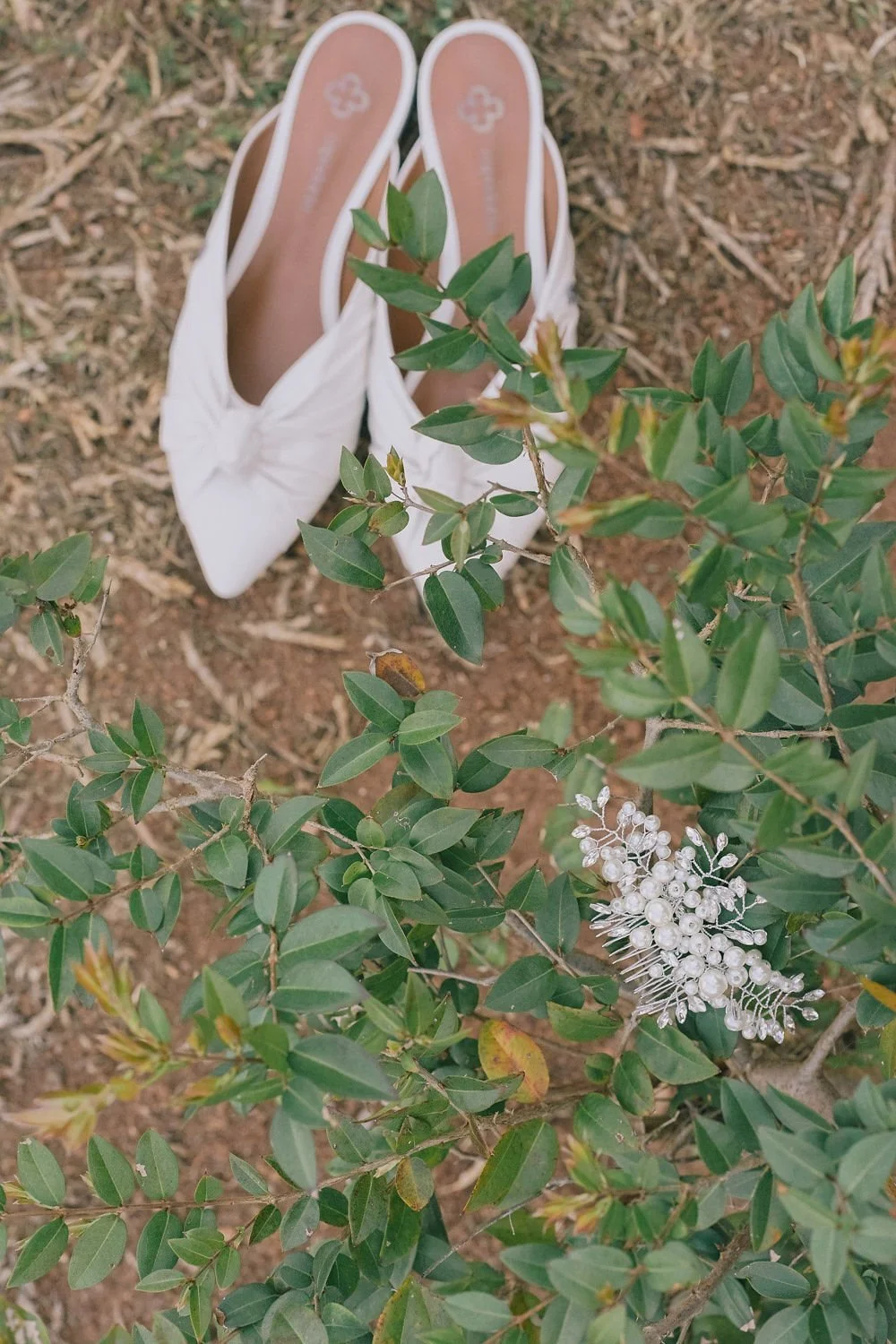Sapatos brancos ao lado de um arbusto com folhas verdes e uma flor branca