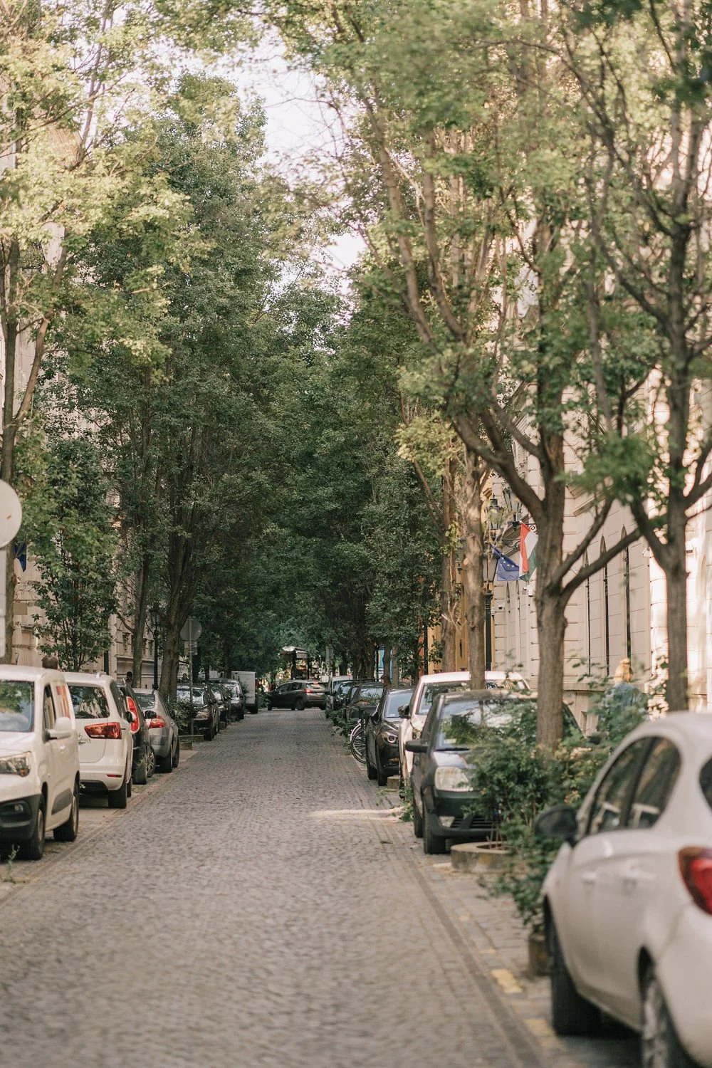 Rua tranquila com árvores e carros estacionados dos dois lados, edifícios tradicionais ao fundo.
