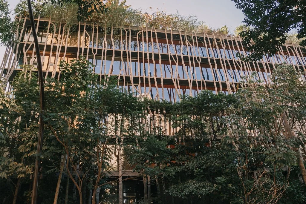 Fachada de um edifício moderno com design arquitetônico de madeiras curvas, cercada por árvores verdes.