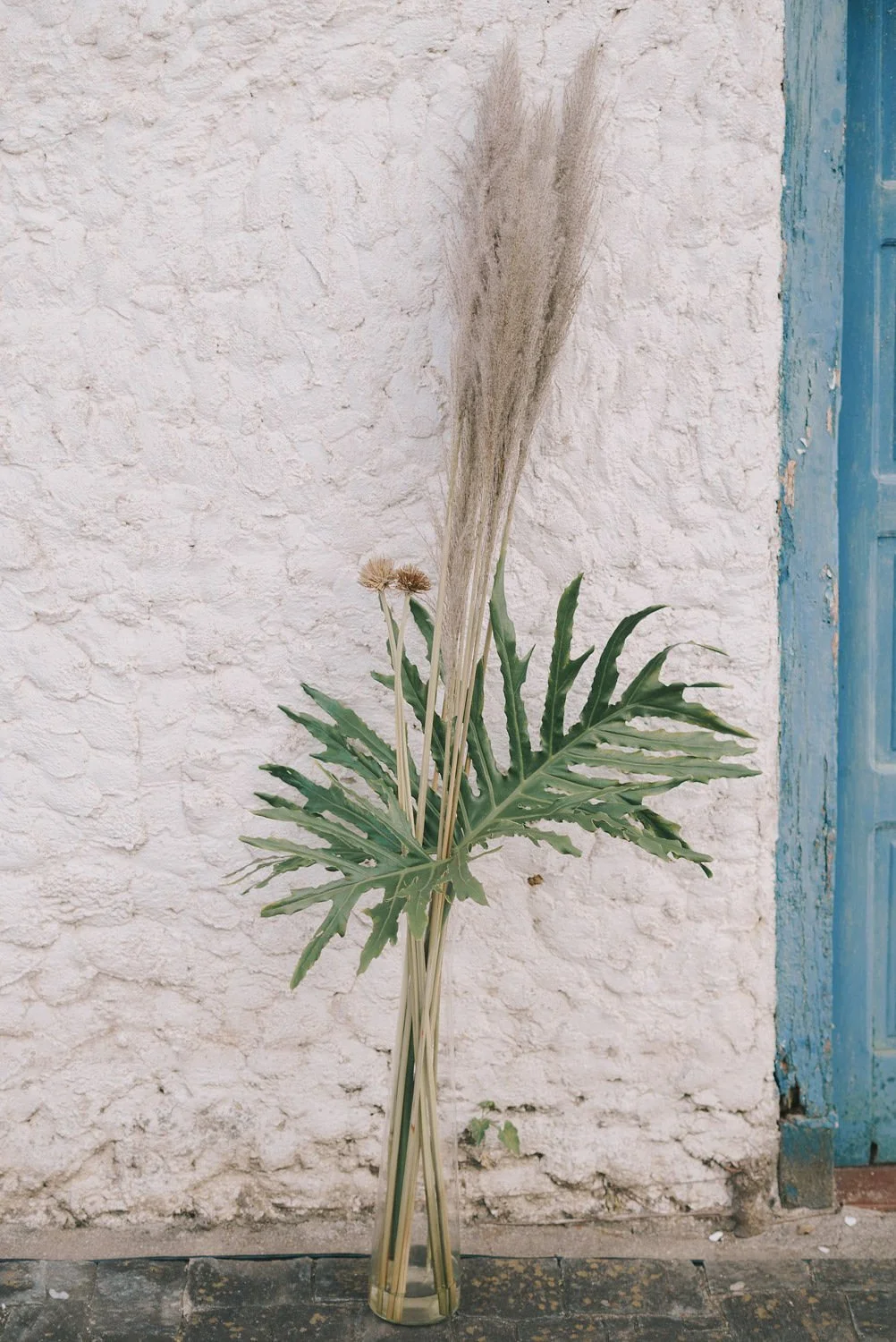 Arranjo de flores secas, incluindo uma planta grande com folhas partidas e alguns caules com espigas de grama, colocado em um vaso transparente na rua, com parede branca ao fundo.