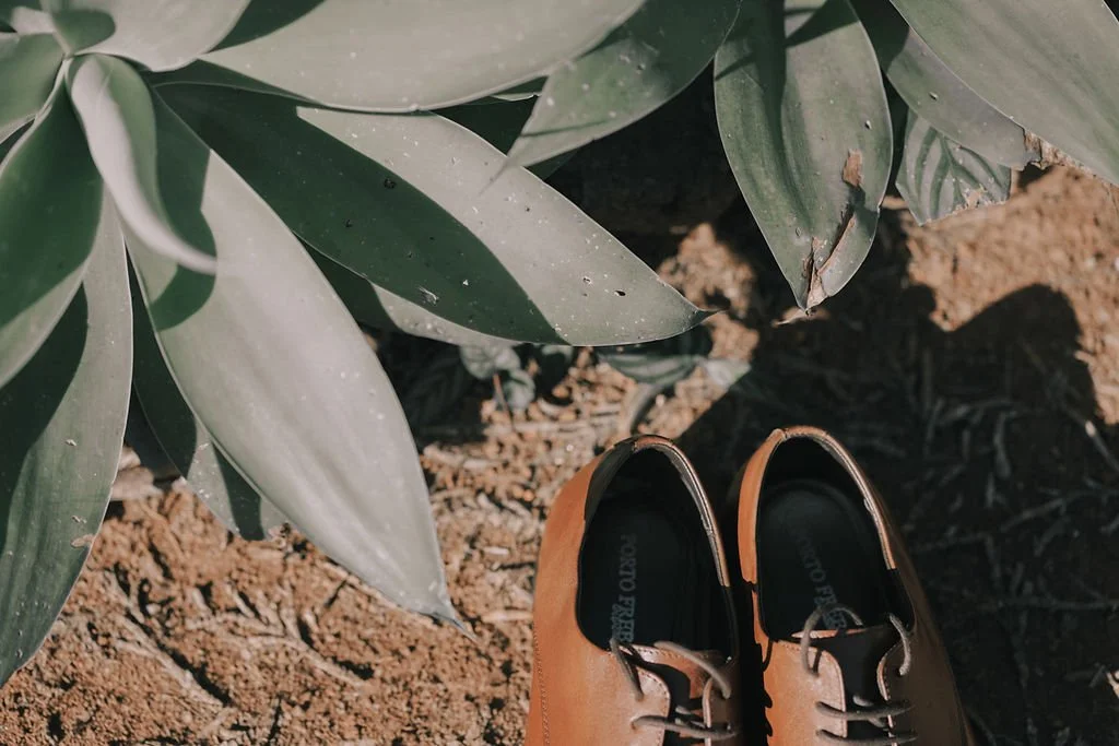 Sapatos de couro marrom sobre terra seca ao lado de folhas verdes de uma planta.