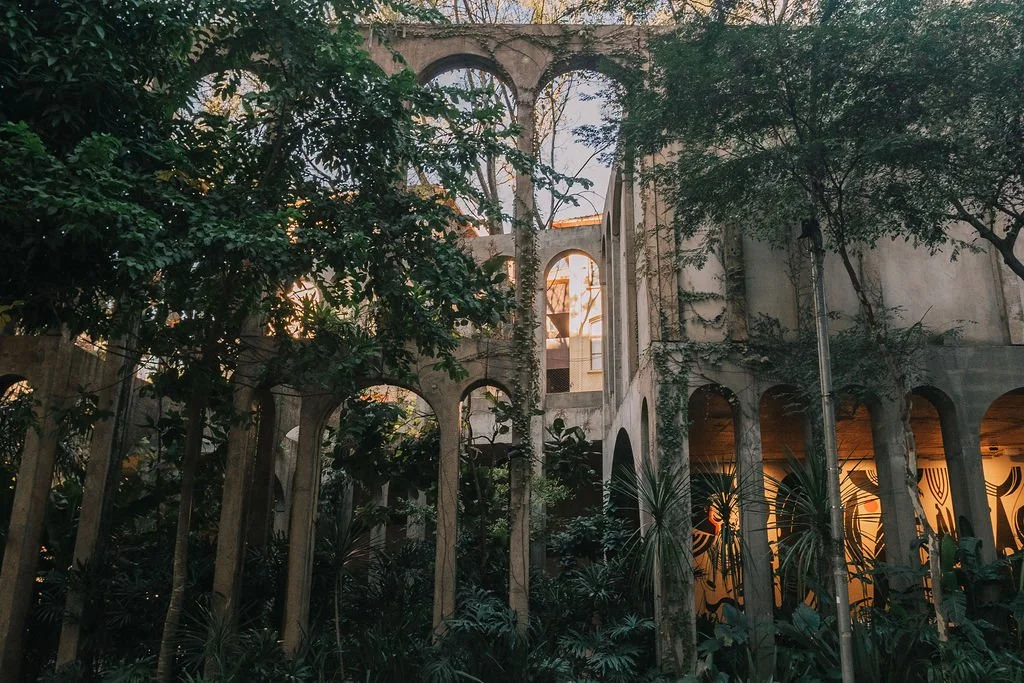 Construção antiga com arcos e colunas, coberta por vegetação densa, com luz de sol ao fundo.