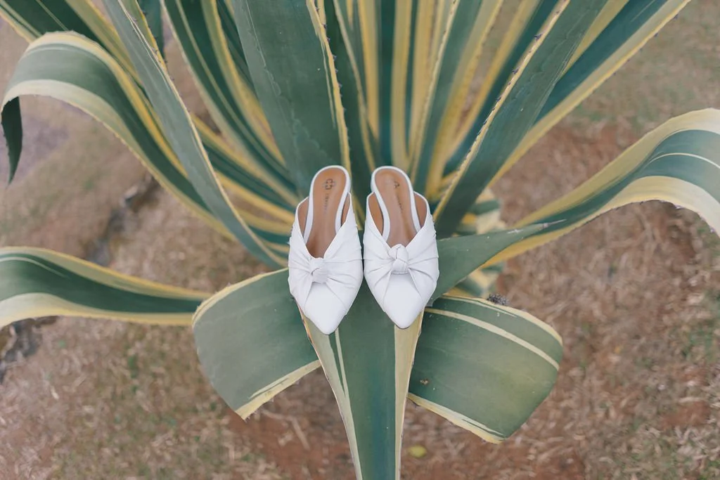 Sapatos brancos com laços, colocados sobre uma planta grande de folhas largas e verdes com pontas amarelas.