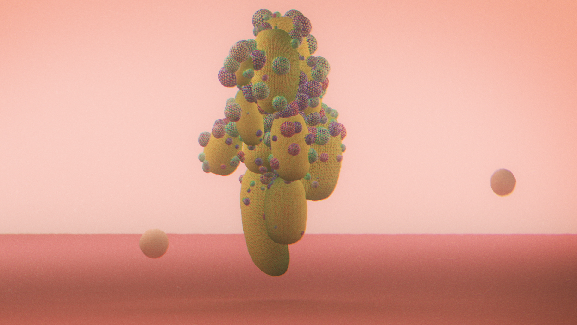 Flowers 01