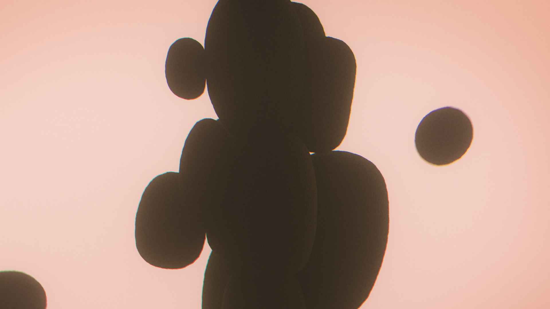 Flowers 04