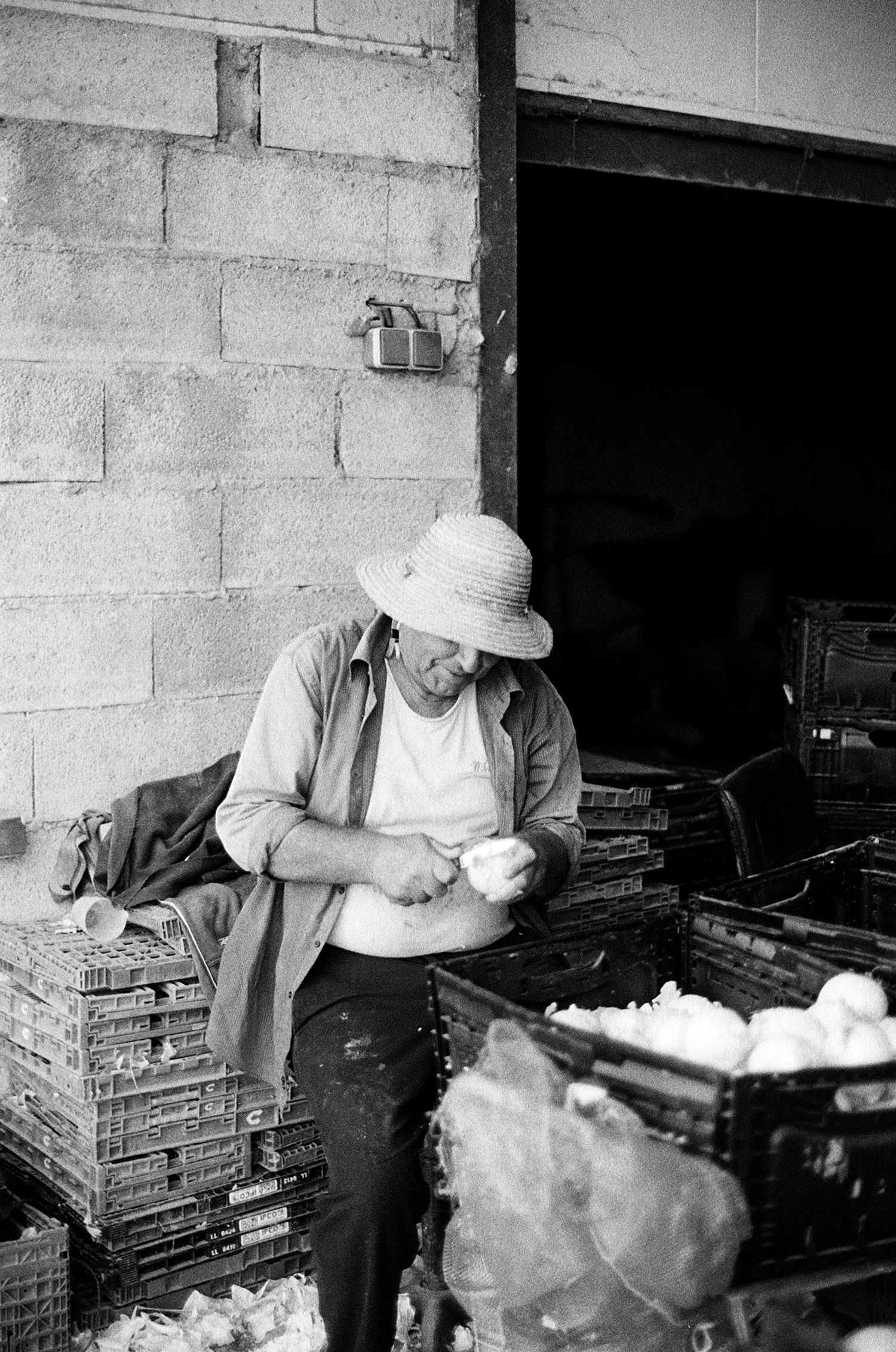 Peeling onions - La Bocca - Kodak Tri-X 400
