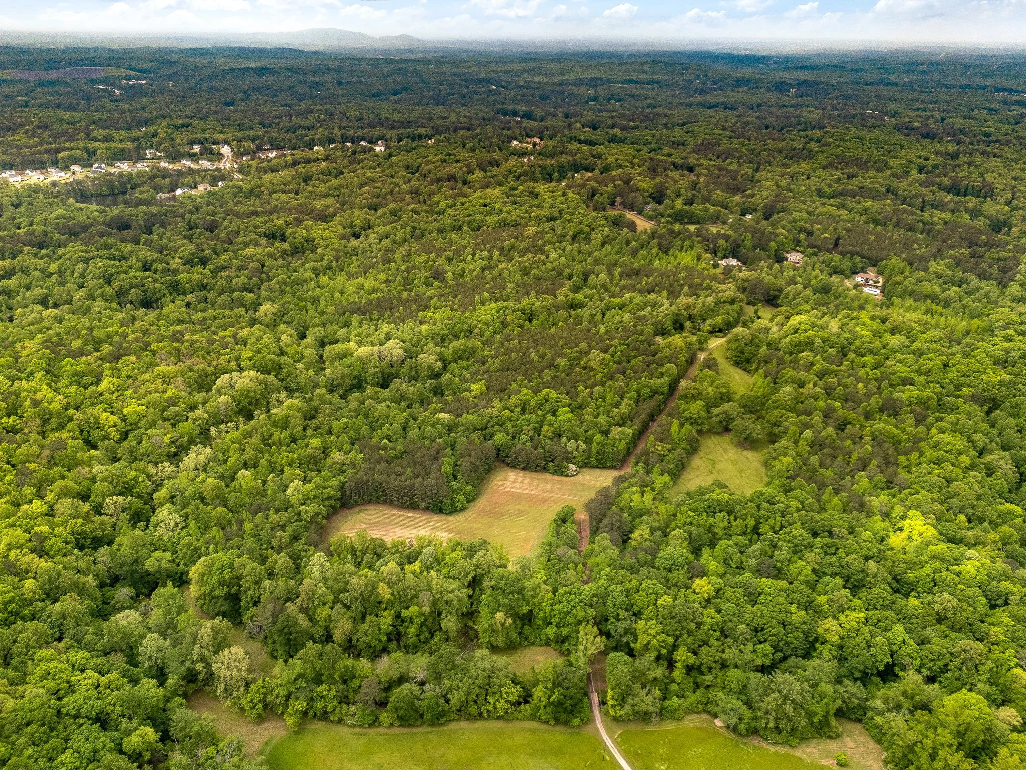 DJI_20250429121501_0526_D.jpg