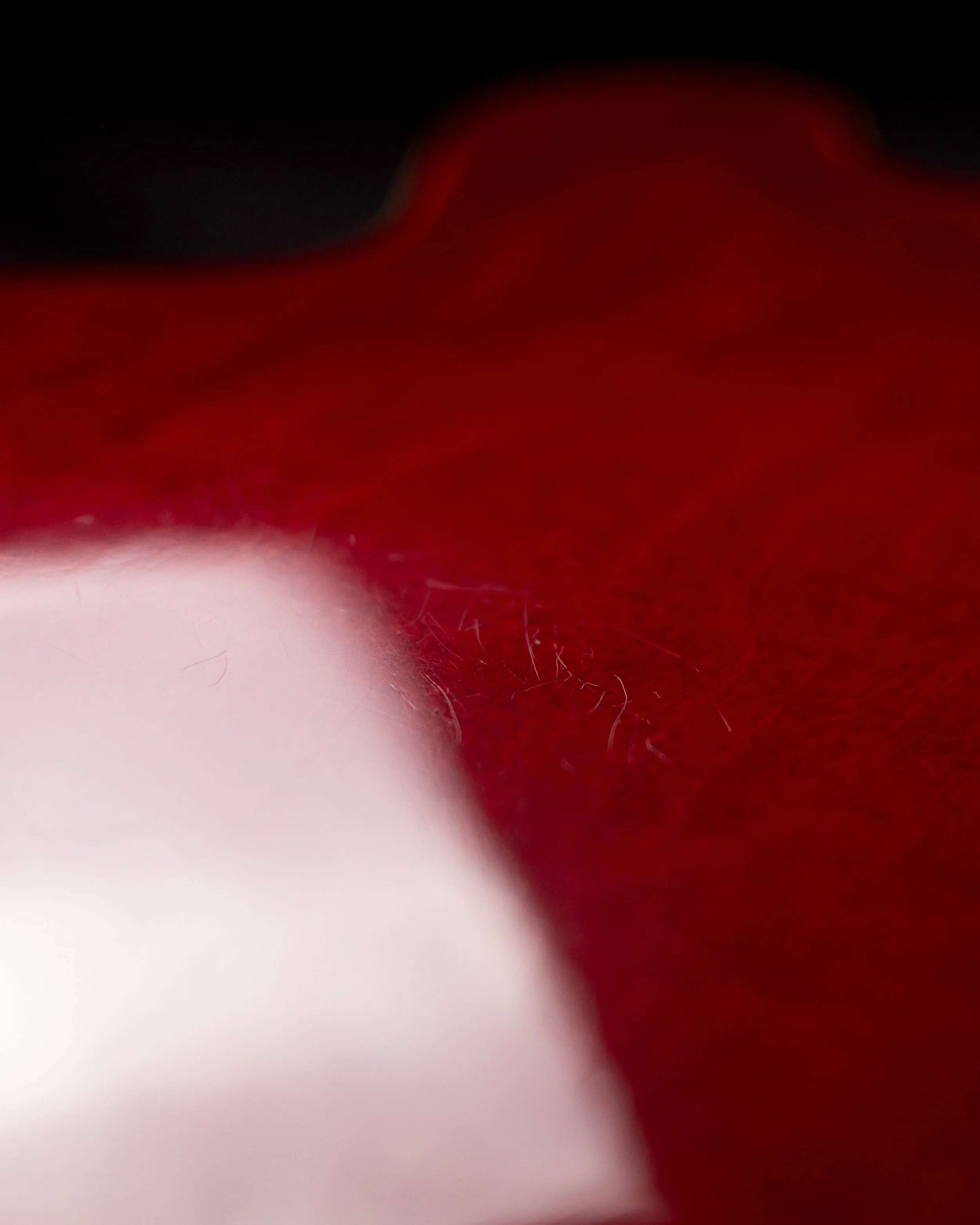 Gbison ES-335 1963-15.jpg