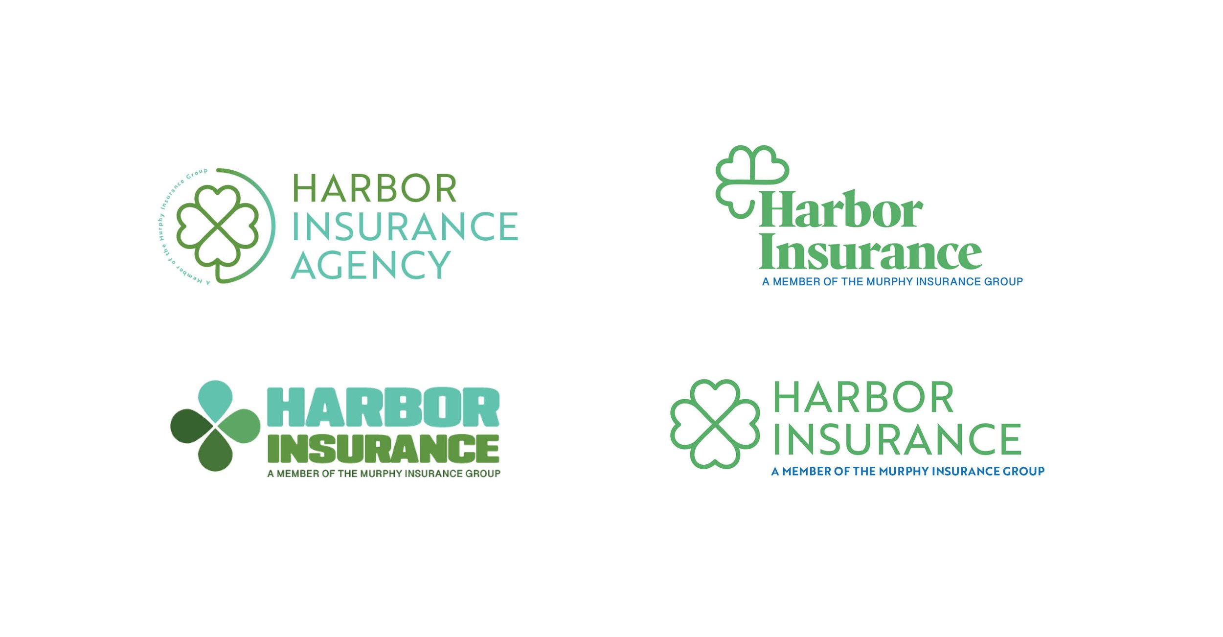 Logo options for a new insurance agency