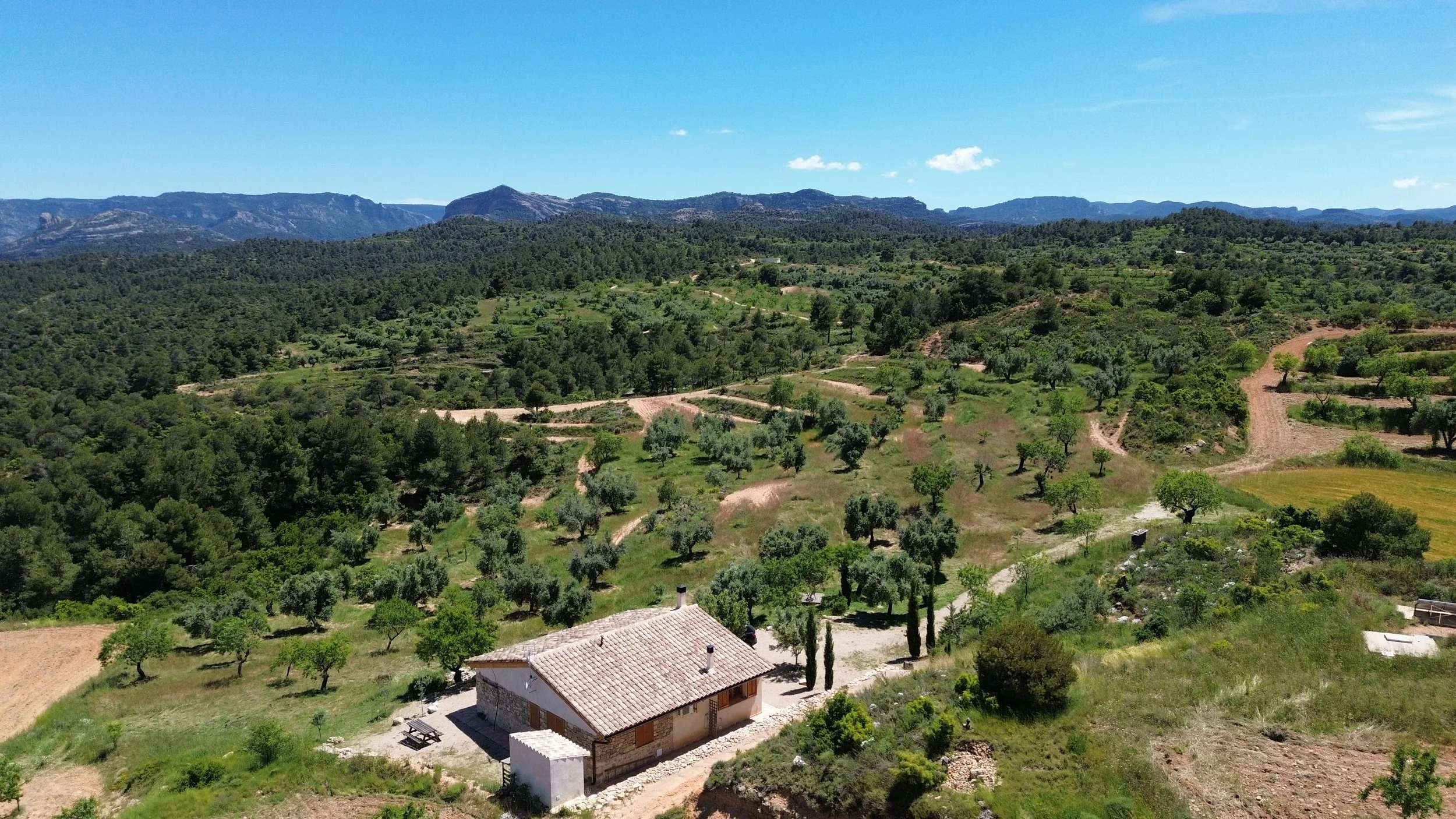 DJI_0267.JPG